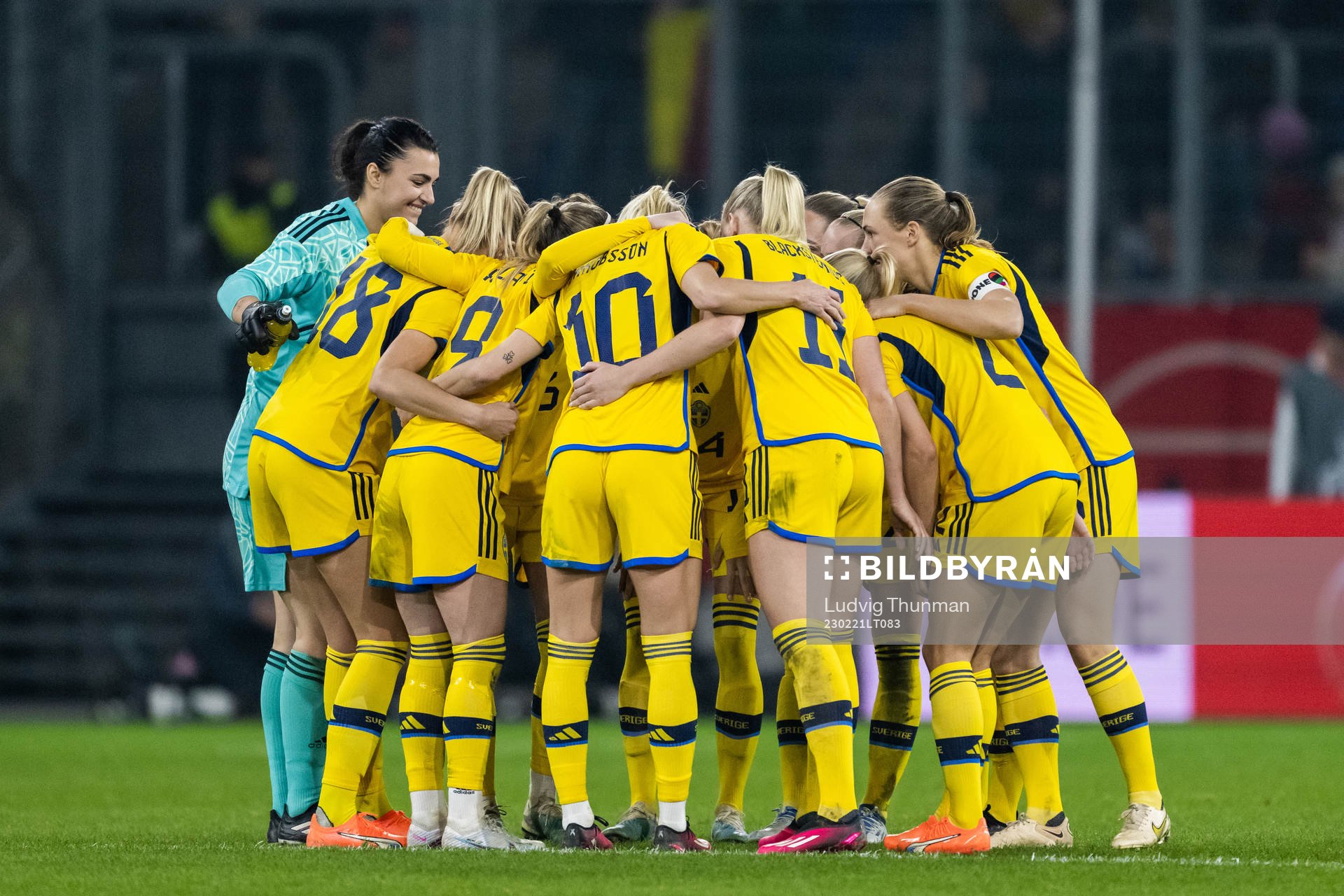 Players of Sweden gather