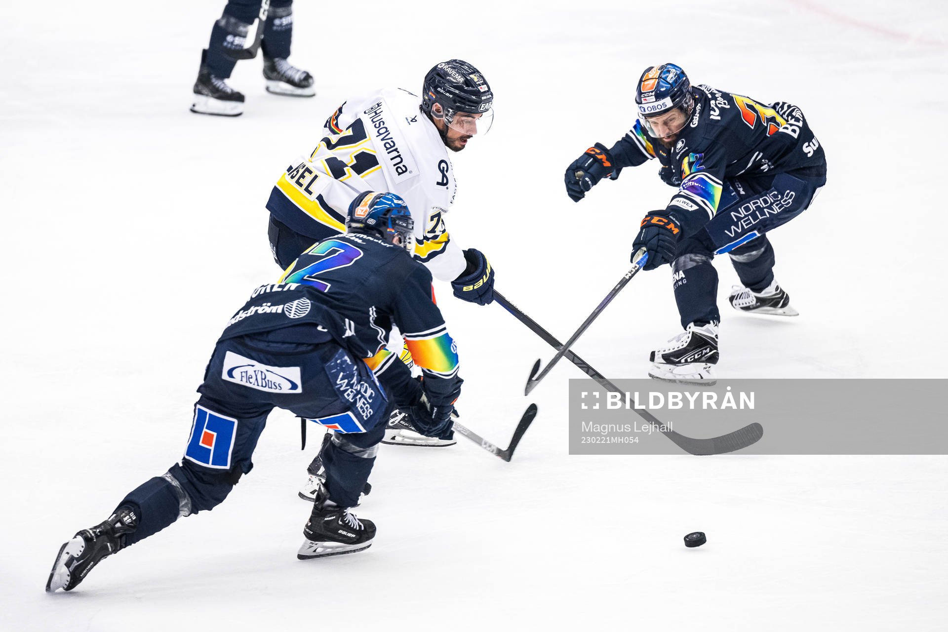 HV71s Tyler Vesel