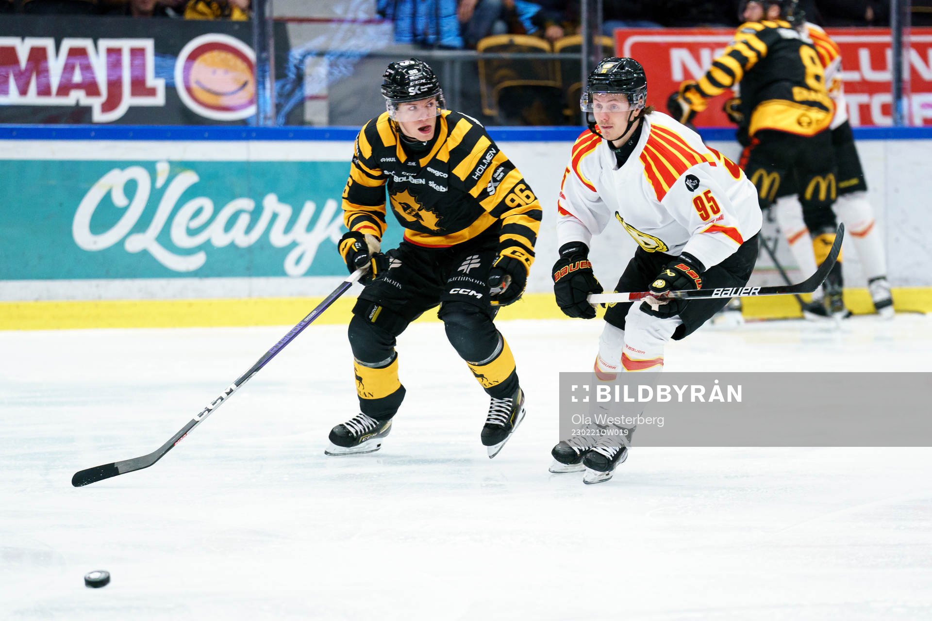 Skellefteås Rickard Hugg och Brynäs Nick Olesen