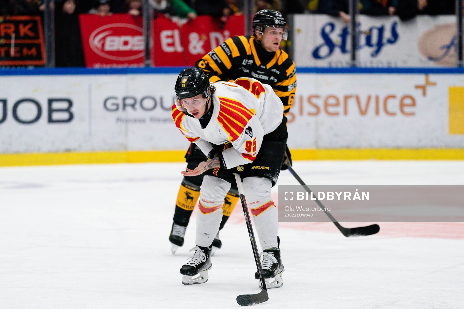 Brynäs Nick Olesen