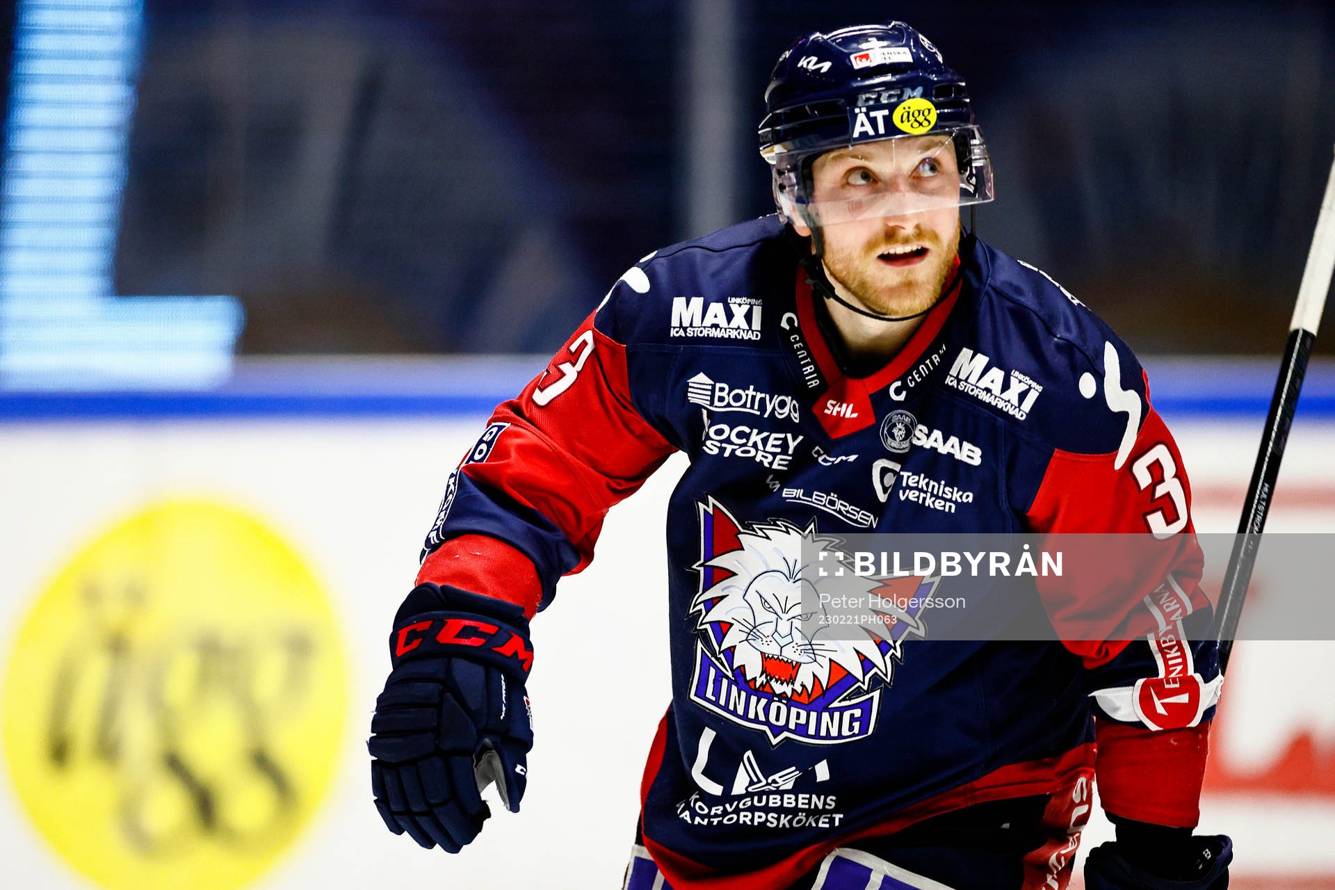 Linköpings Linus Hultström jublar