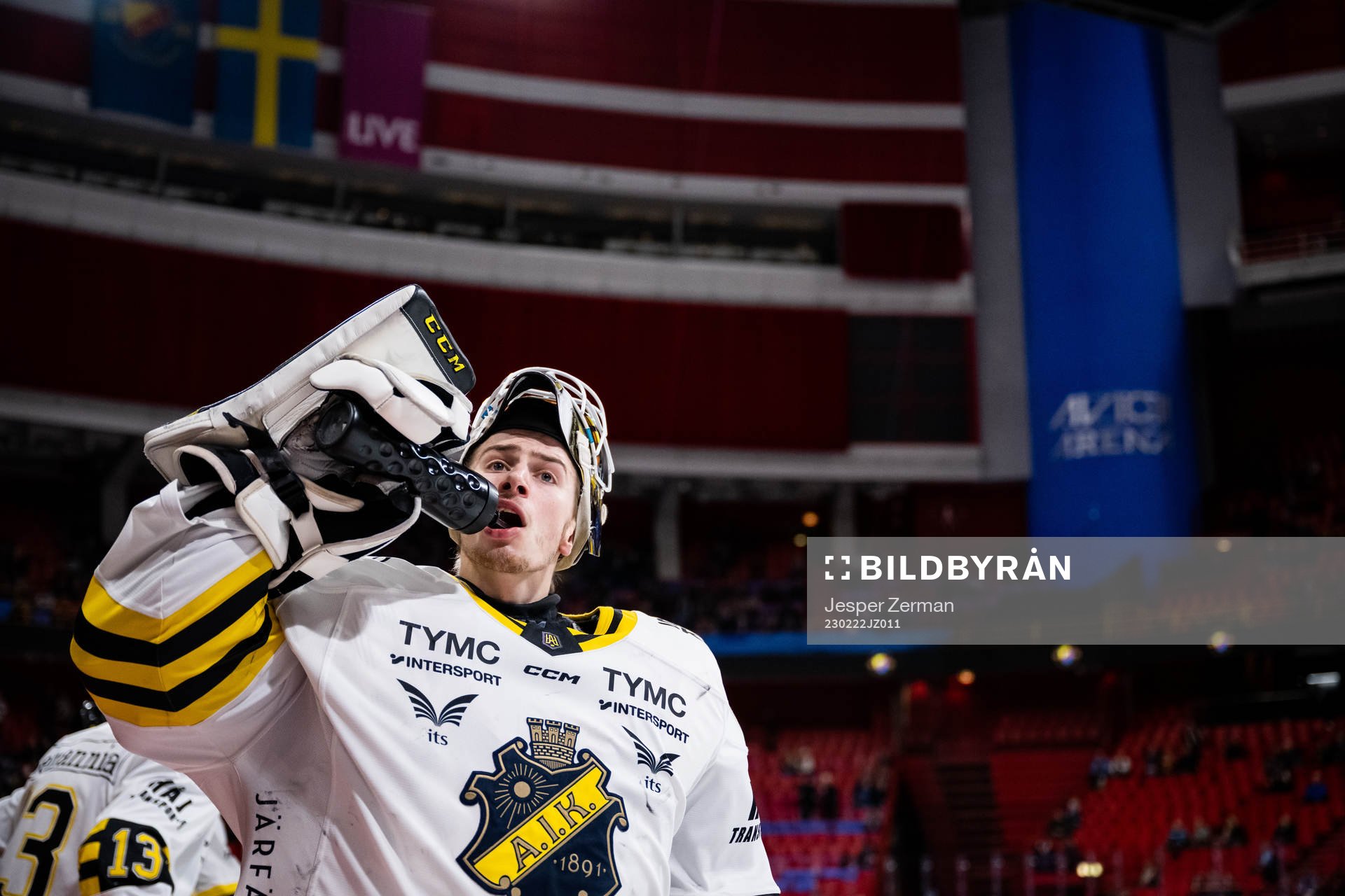 AIKs målvakt Claes Endre