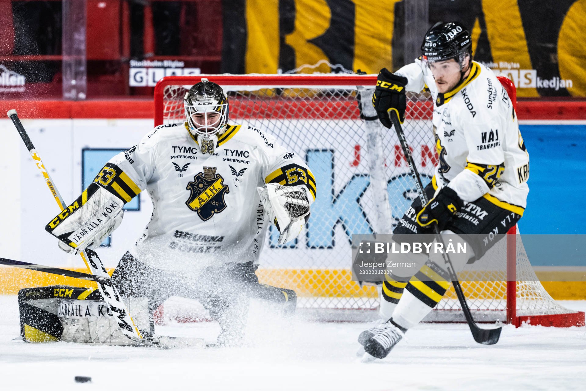 AIKs målvakt Claes Endre