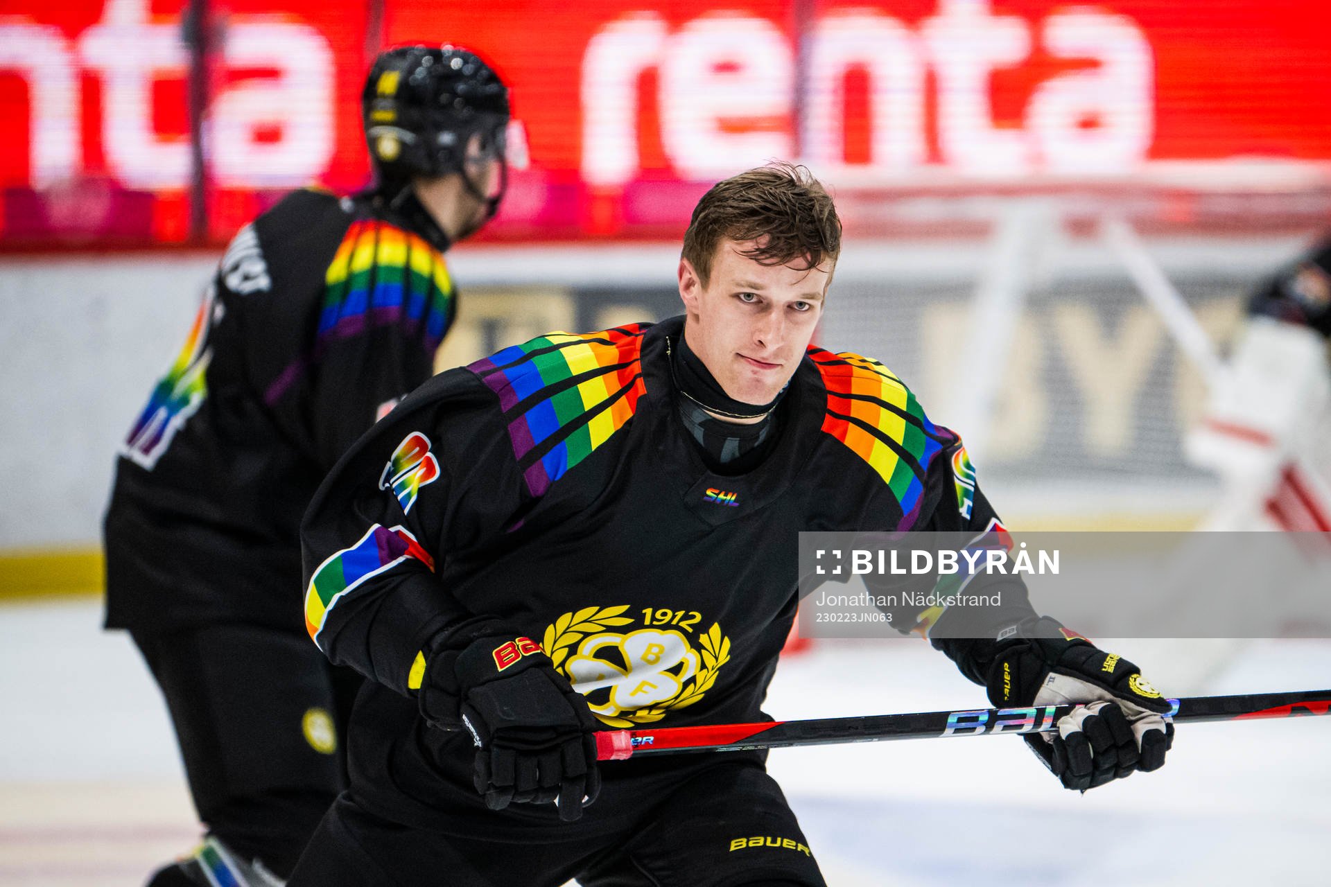 Brynäs David Sklenicka