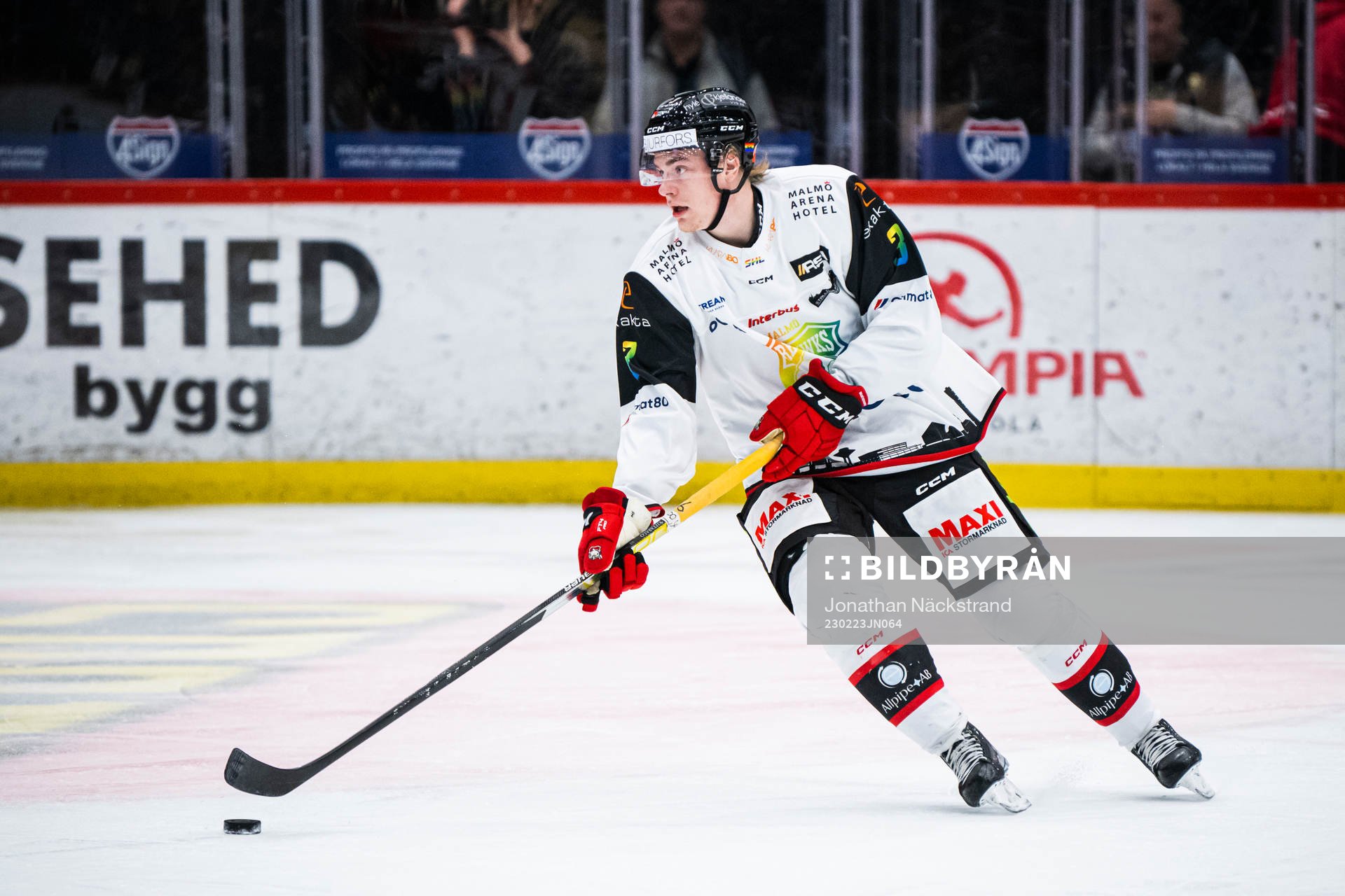 Malmö Redhawks Nuutti Viitasalo