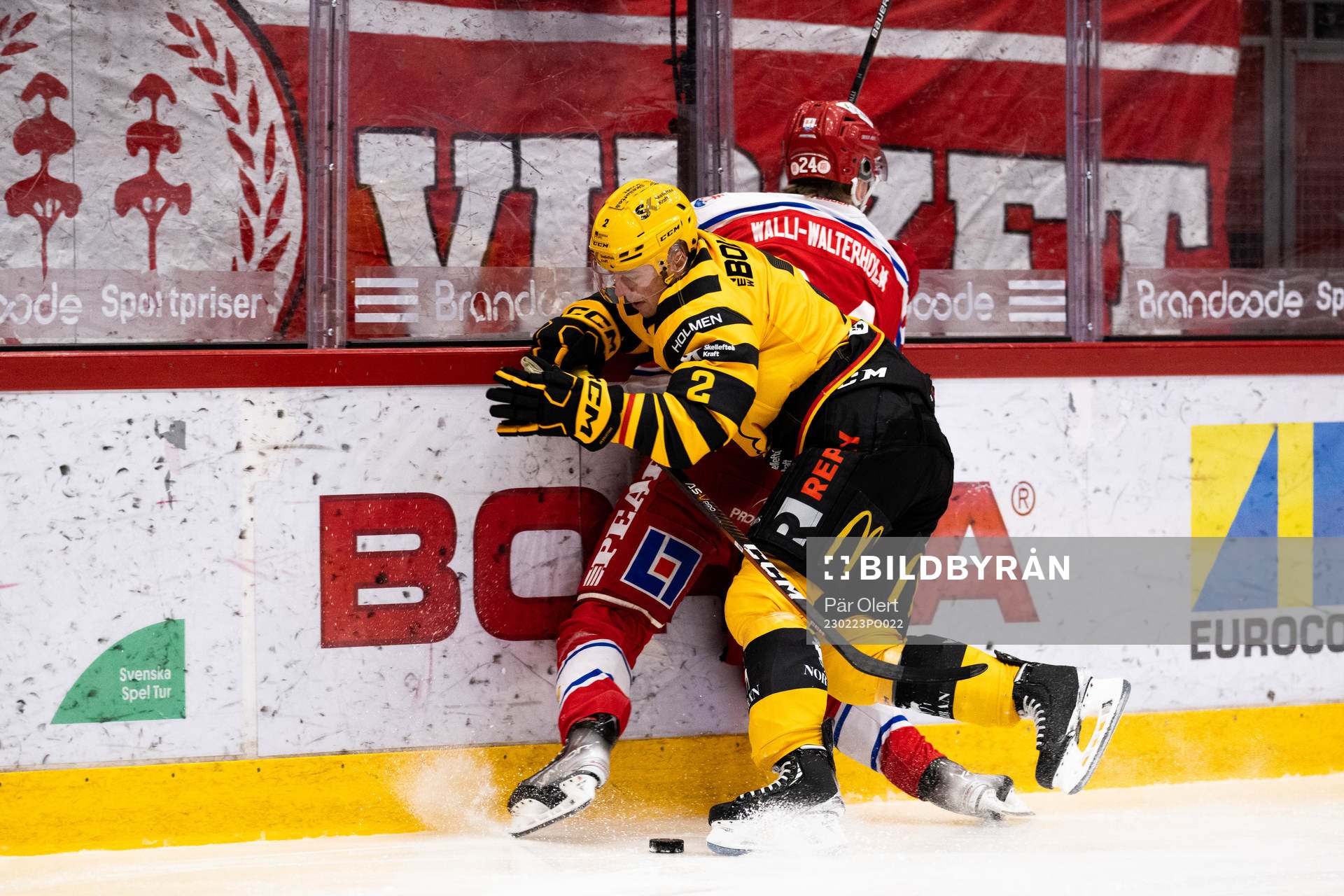 Skellefteås Linus Högberg