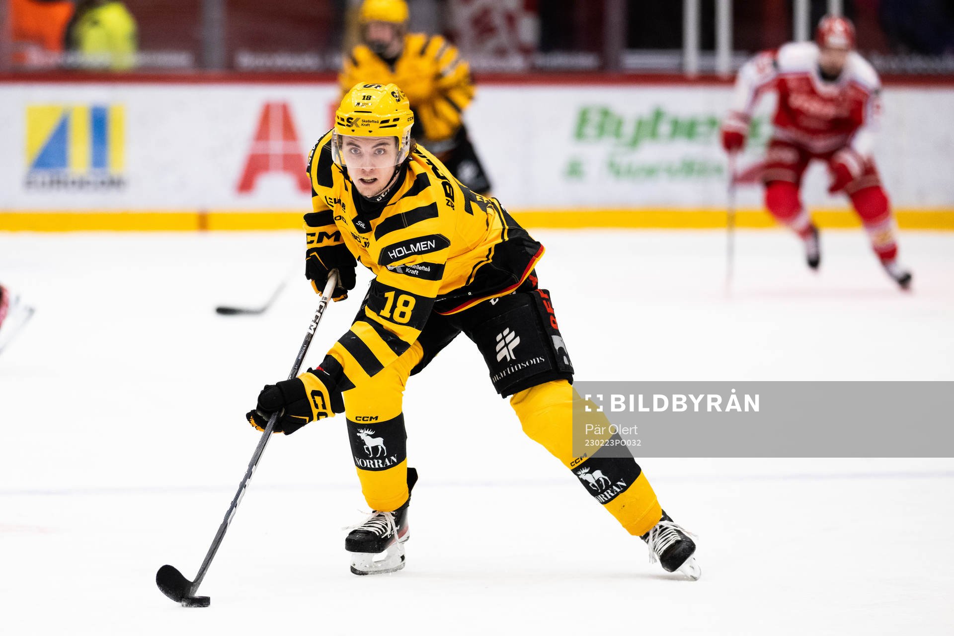 Skellefteås Elias Stenman