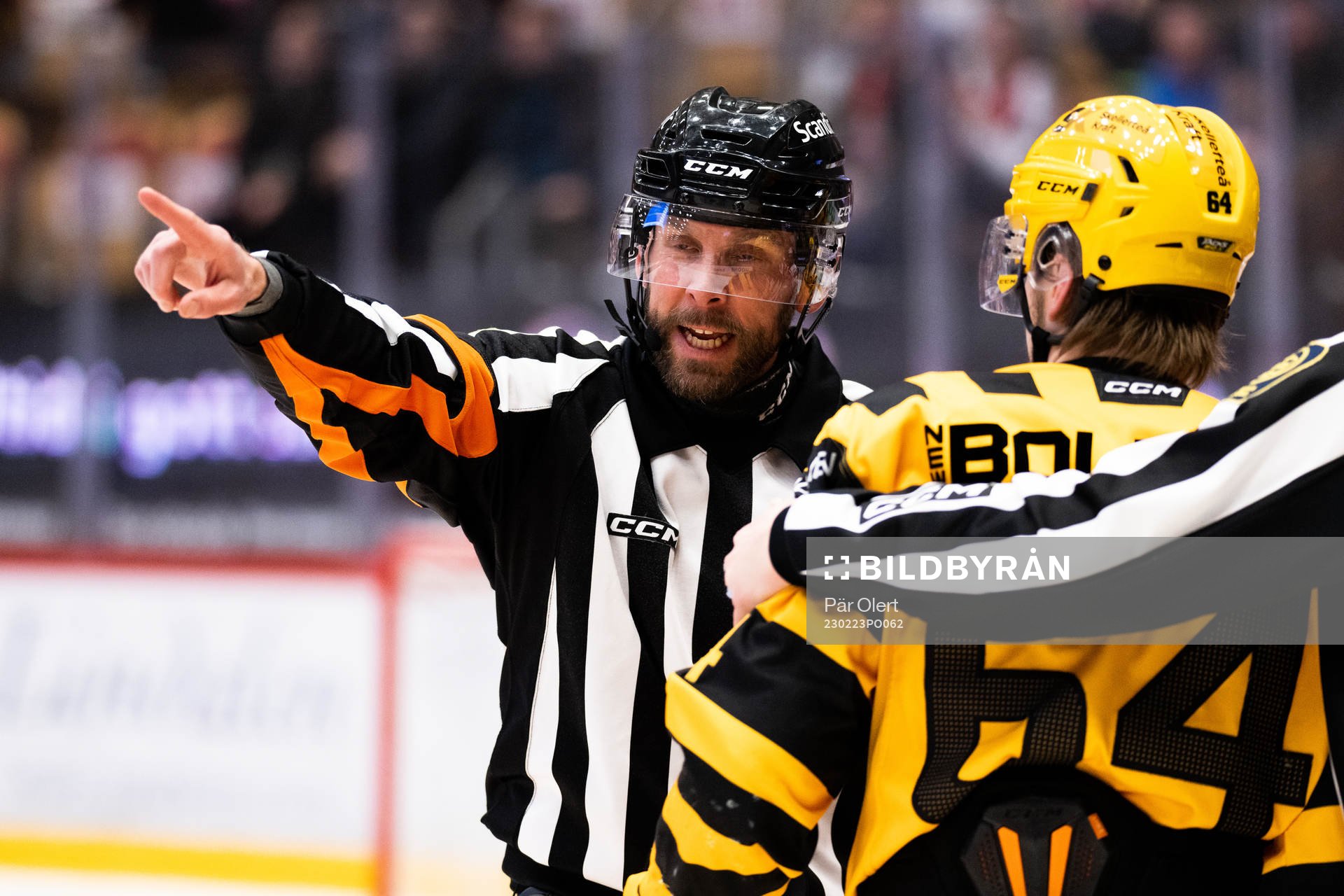 Domaren Marcus Linde och Skellefteås Jonathan Pudas