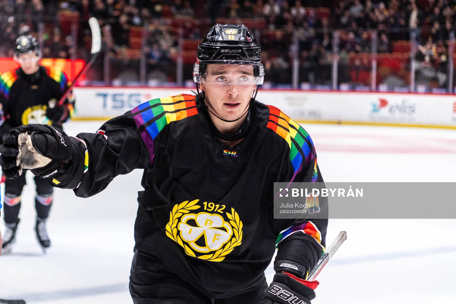 Brynäs Dmytro Timashov jublar