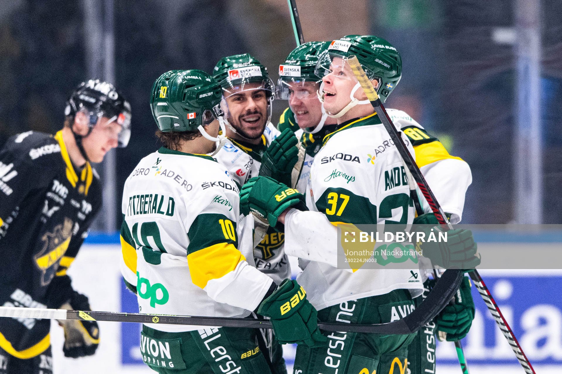 Björklövens Maxime Fortier jublar med lagkamrater