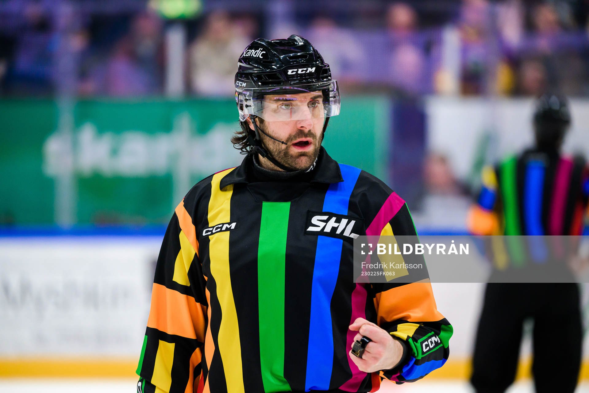 Domare Mikael Sjöqvist