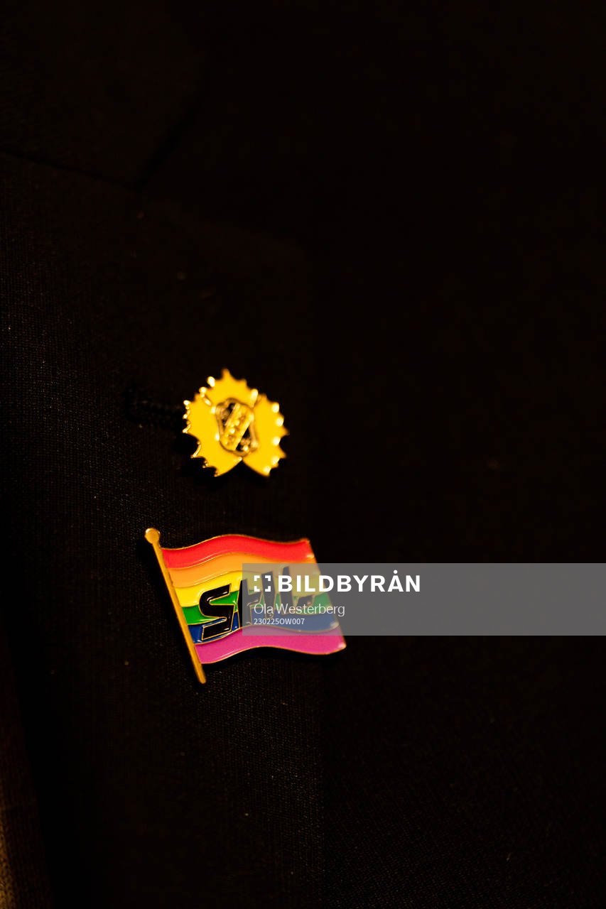 Pride pin