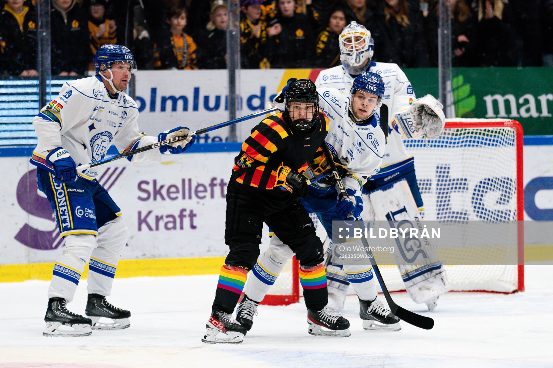 Skellefteås Zeb Forsfjäll
