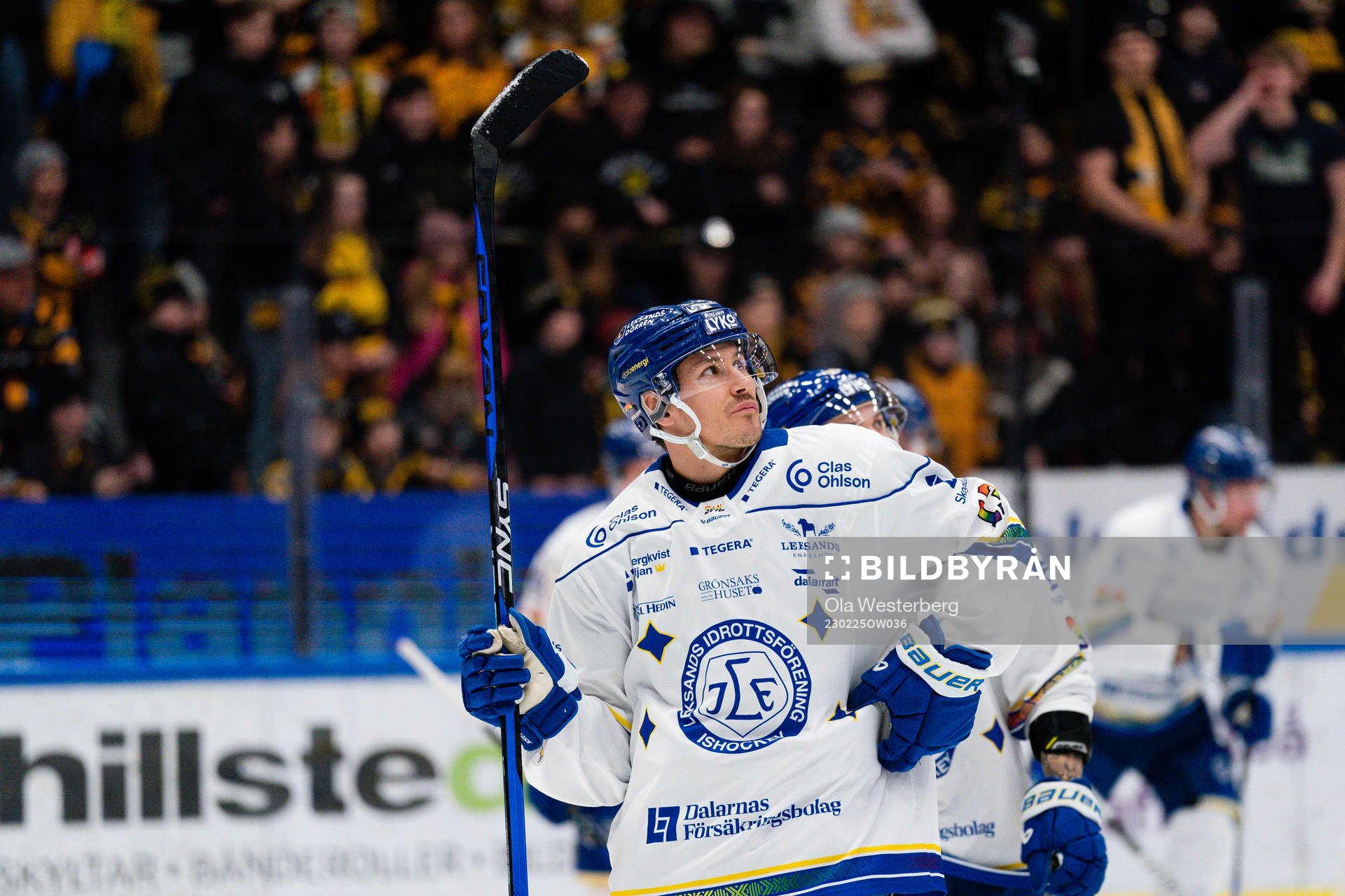 Leksands Jon Knuts