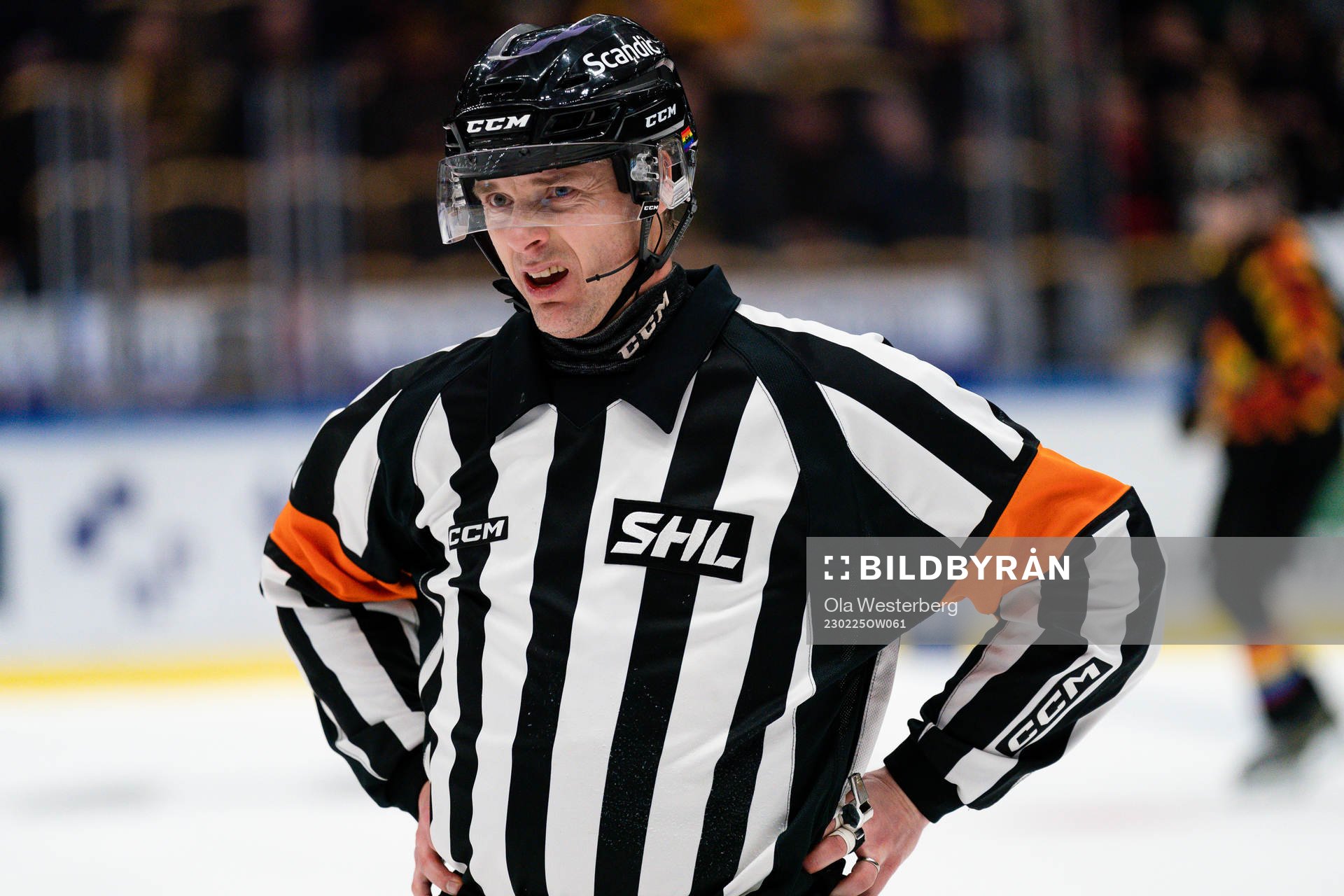 Domare Mikael Andersson
