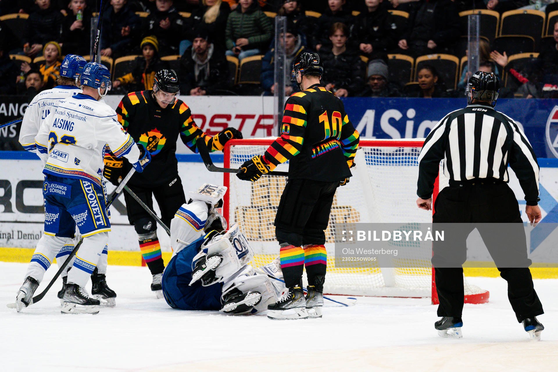 Leksands målvakt Mantas Armalis och Skellefteås Jonathan