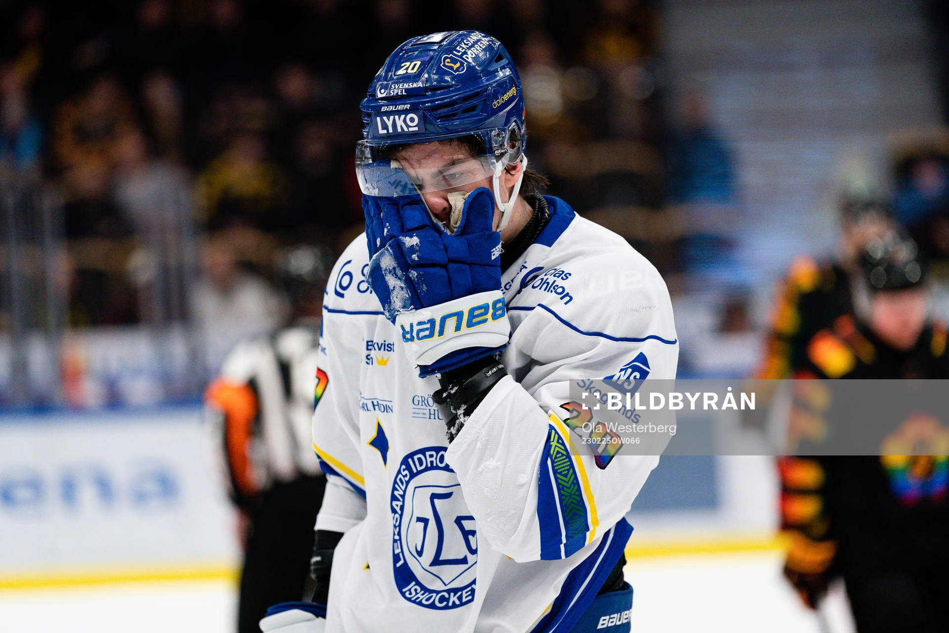 Leksands Lian Bichsel