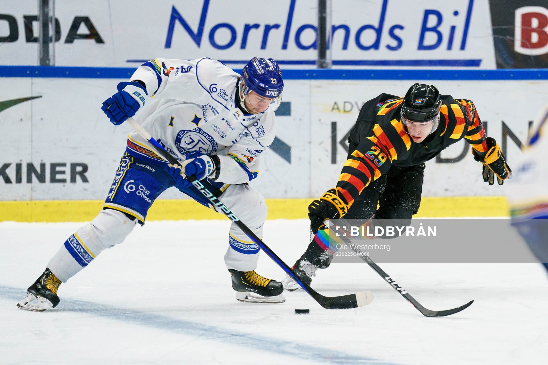 Leksands Mikael Ruohomaa och Skellefteås Albin Sundsvik