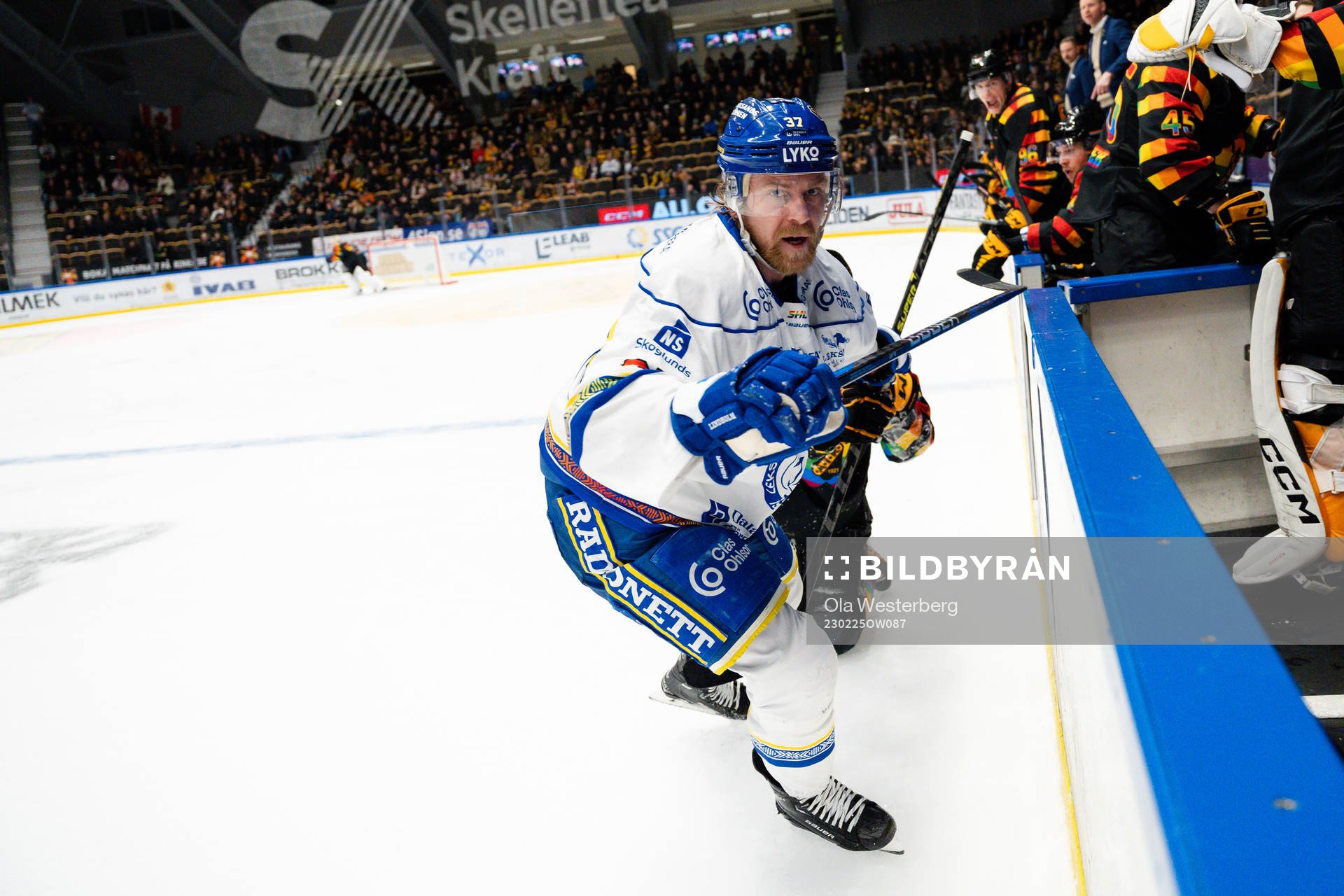 Leksands Anton Lindholm