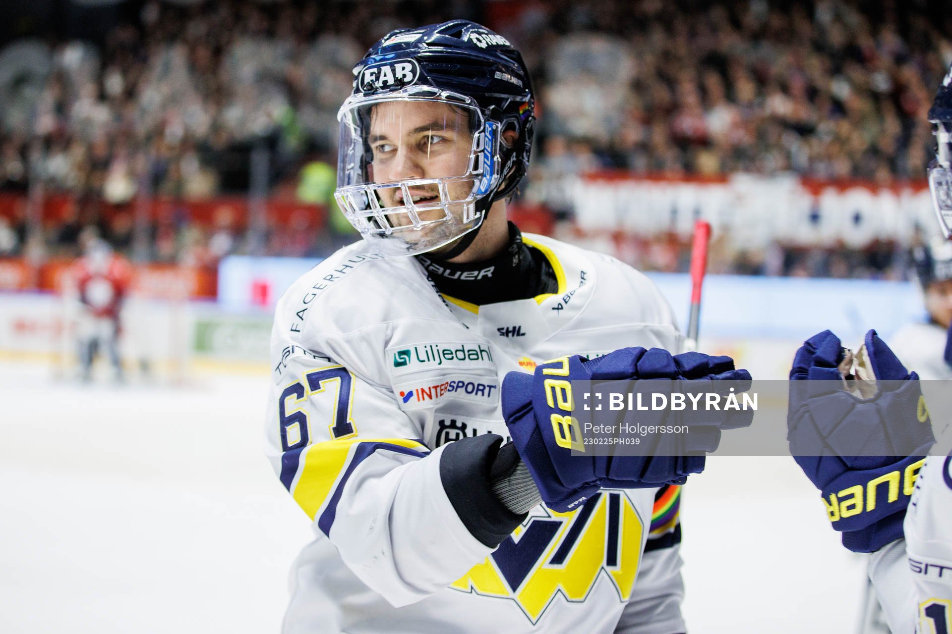 HV71s Oliwer Kaski jublar
