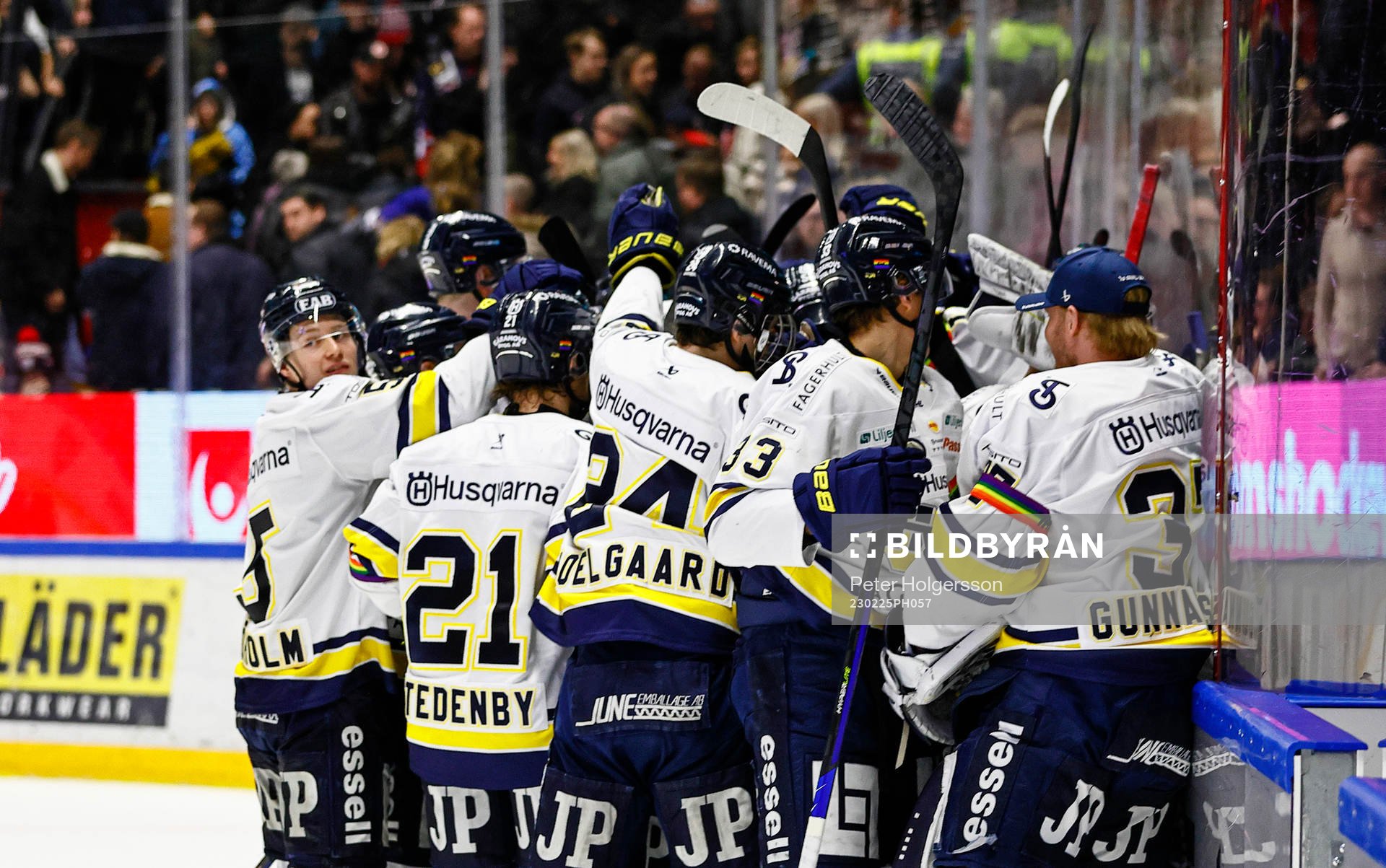 HV71s spelare jublar