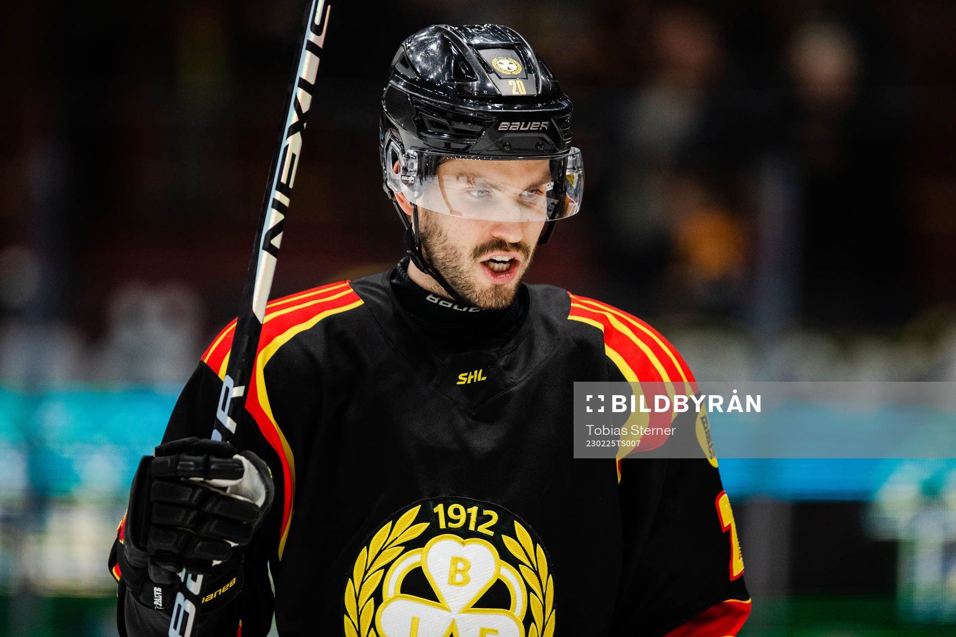 Brynäs Oula Palve