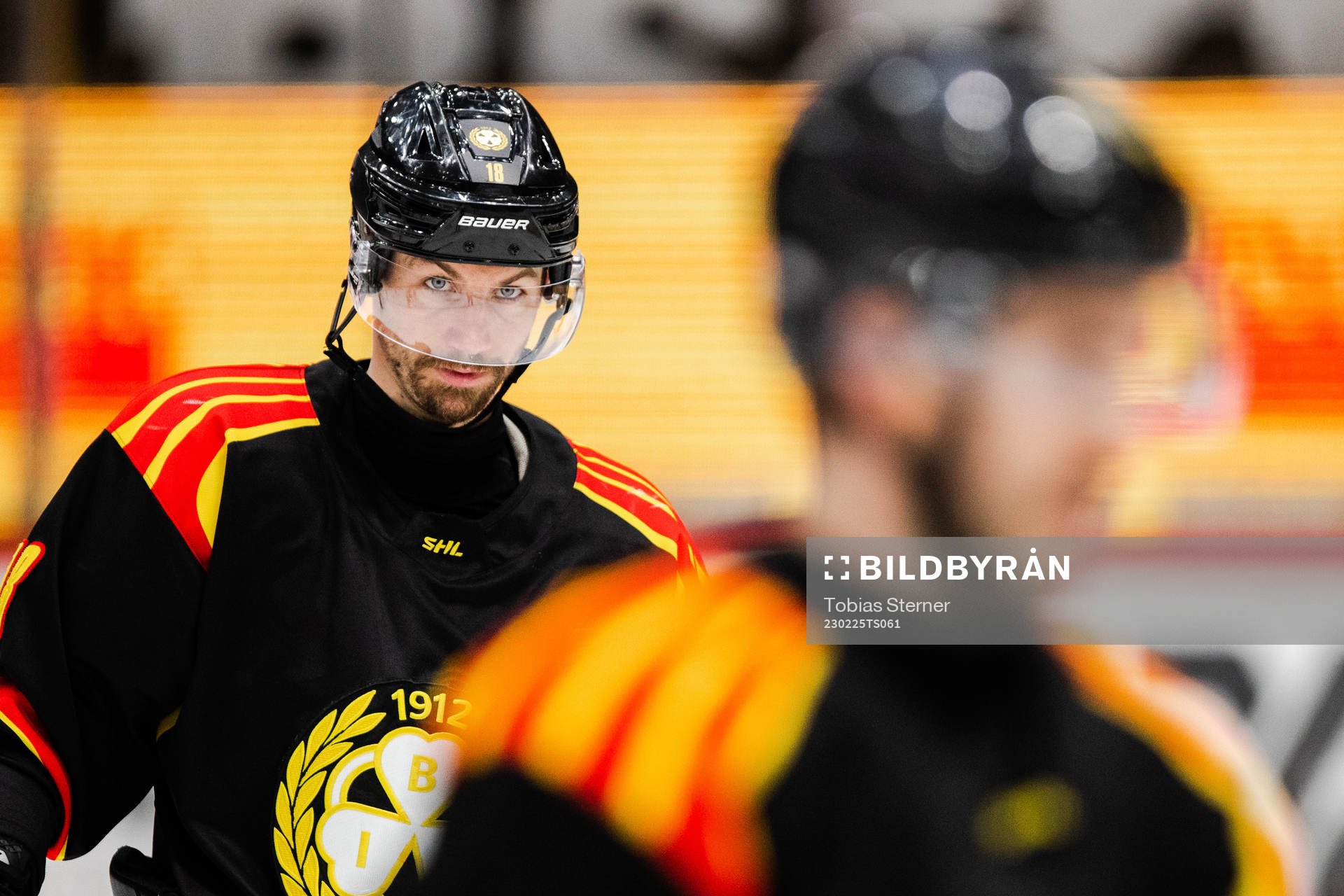 Brynäs Anton Rödin