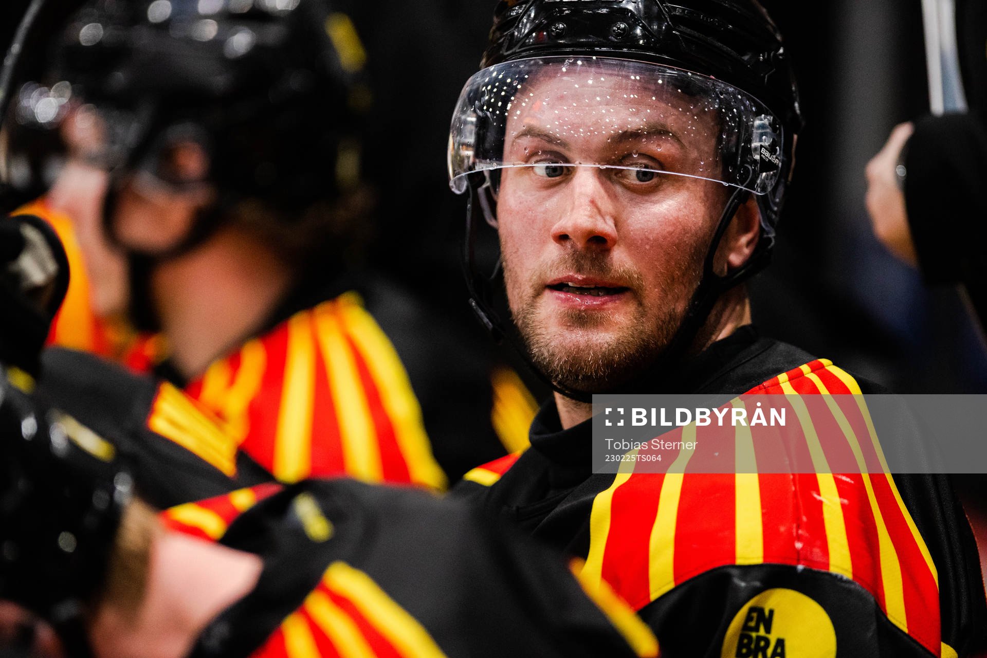 Brynäs Johan Larsson