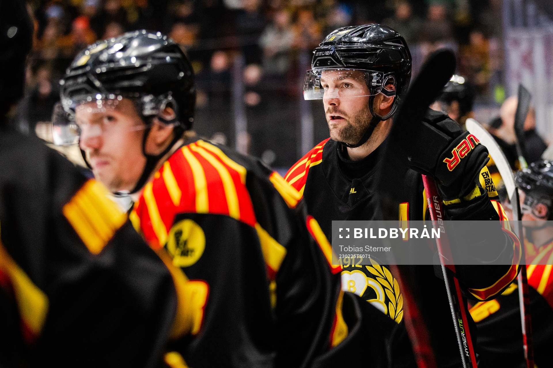 Brynäs Simon Bertilsson
