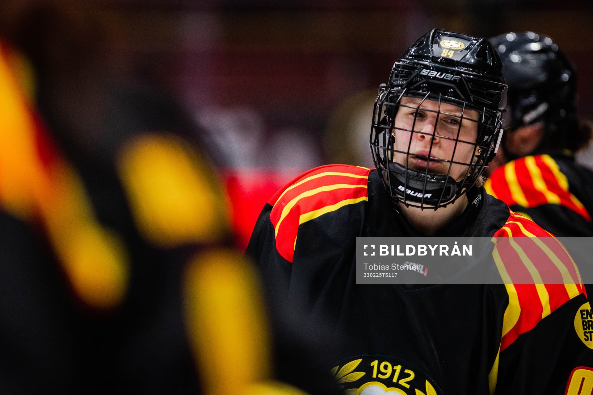 Brynäs Anna Meixner