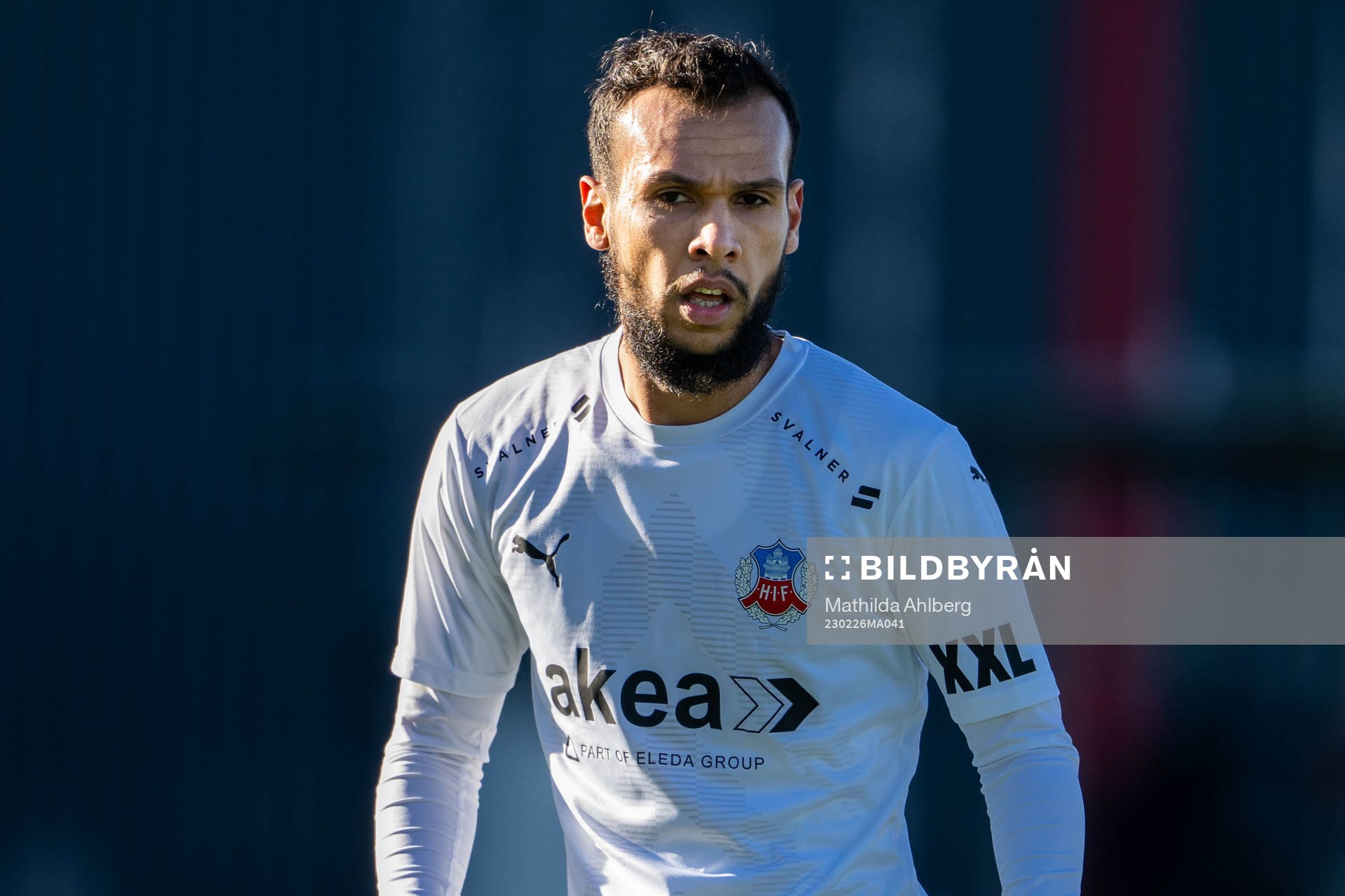 Helsingborgs Sumar Almadjed