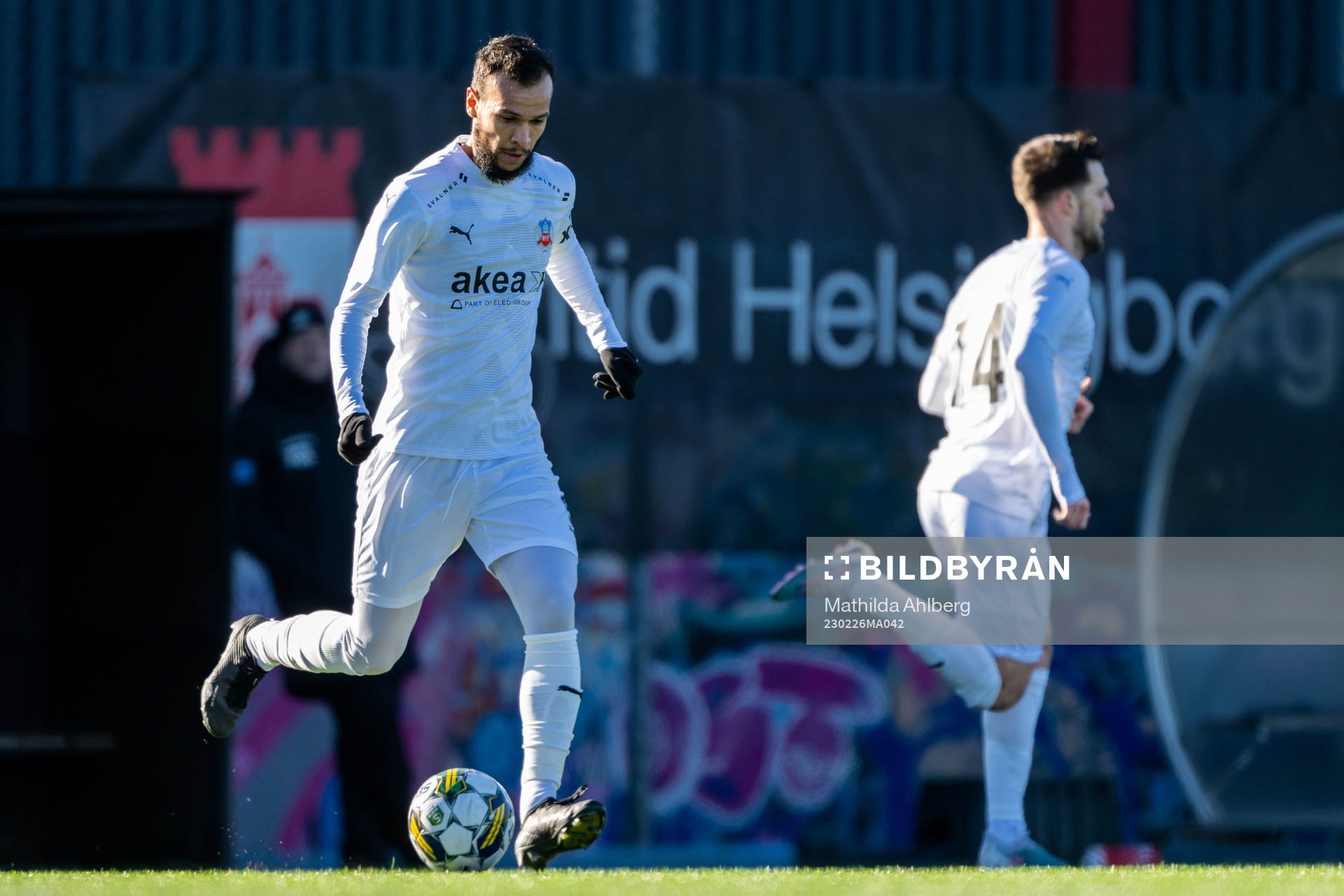Helsingborgs Sumar Almadjed