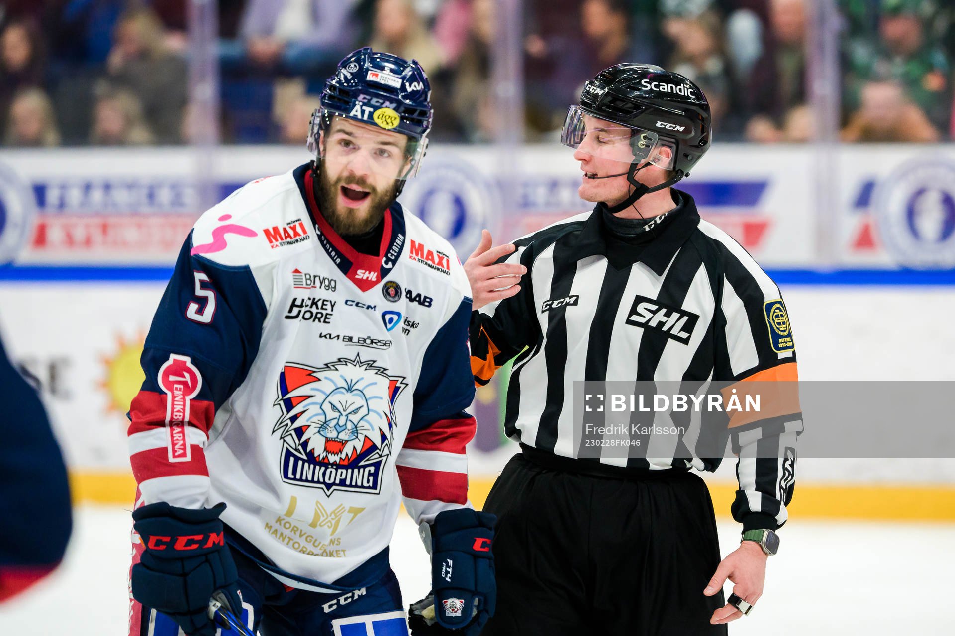 Linköpings Oscar Fantenberg i samtal med Domare Alexander