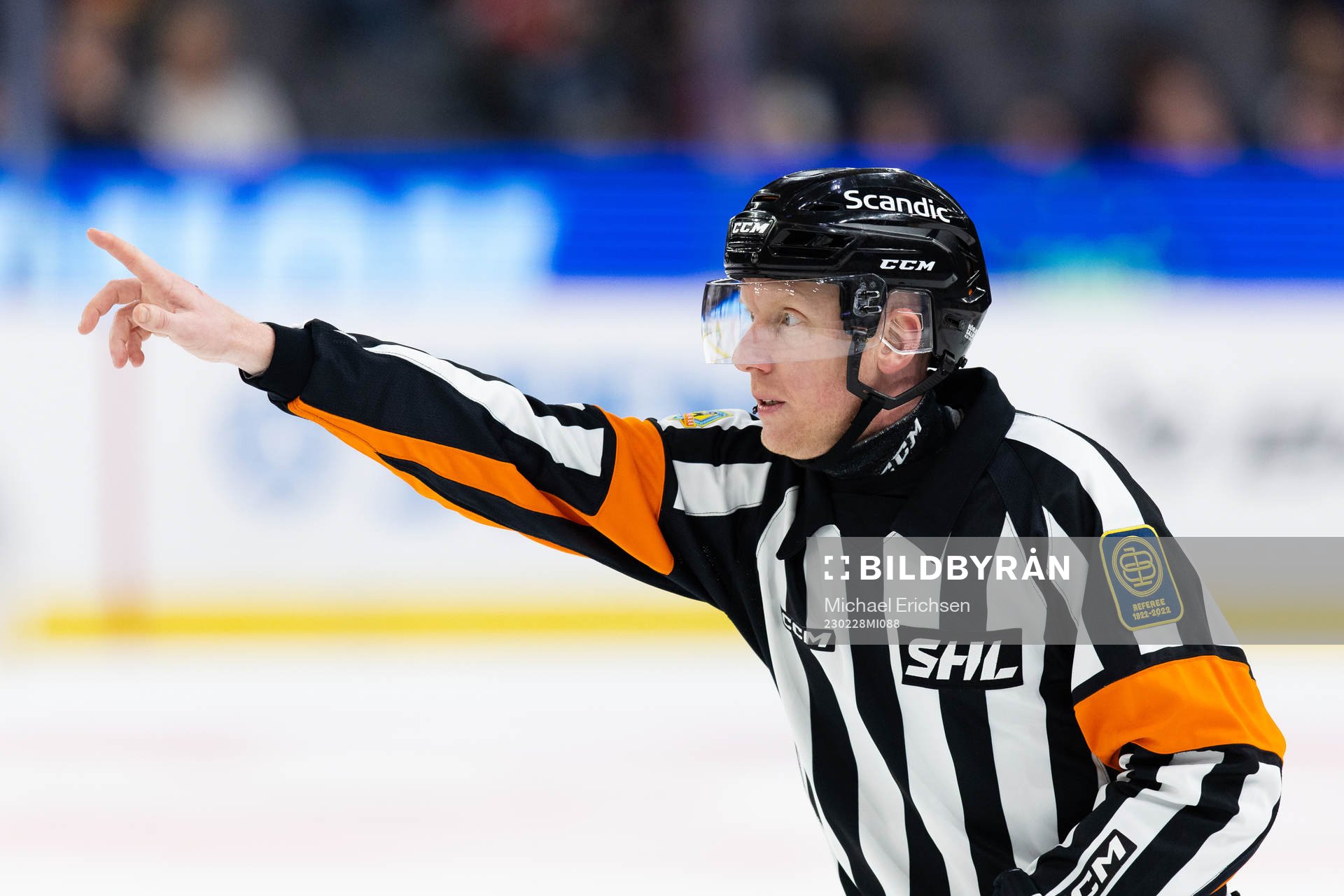 Domare Mikael Holm