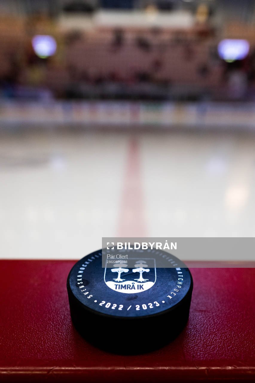 En hockeypuck