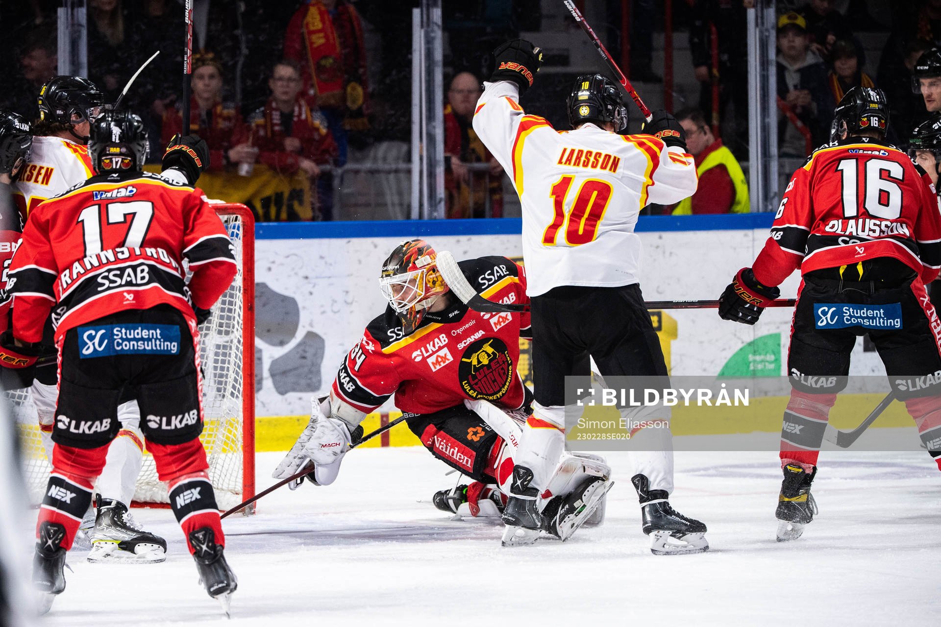 Brynäs Johan Larsson jublar