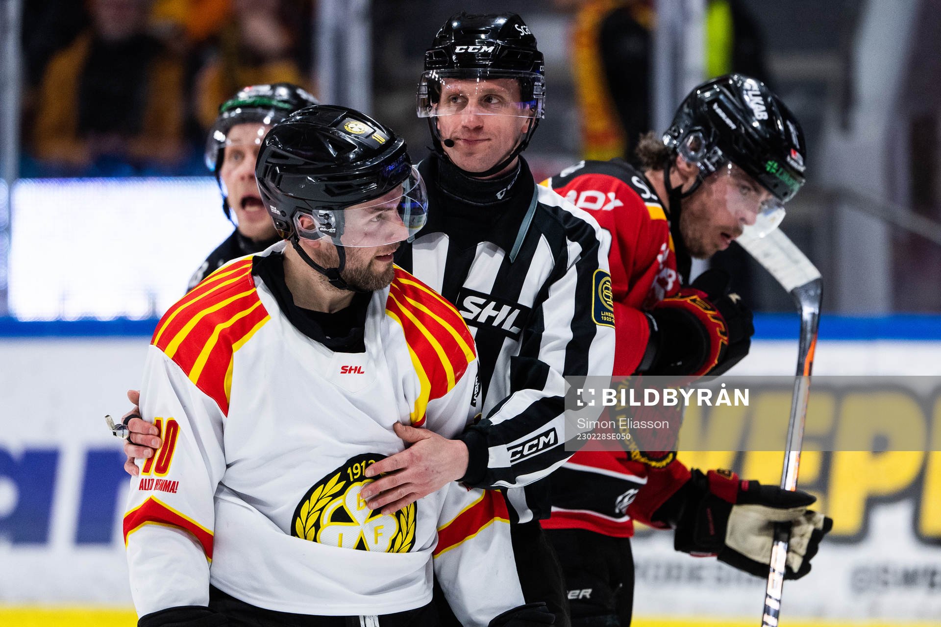 Brynäs Johan Larsson