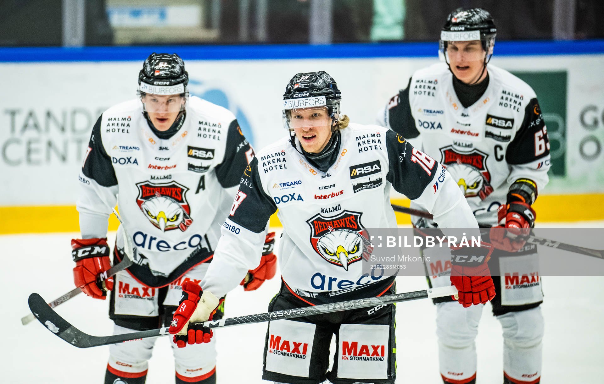 Malmö Redhawks Marcus Sylvegård jublar