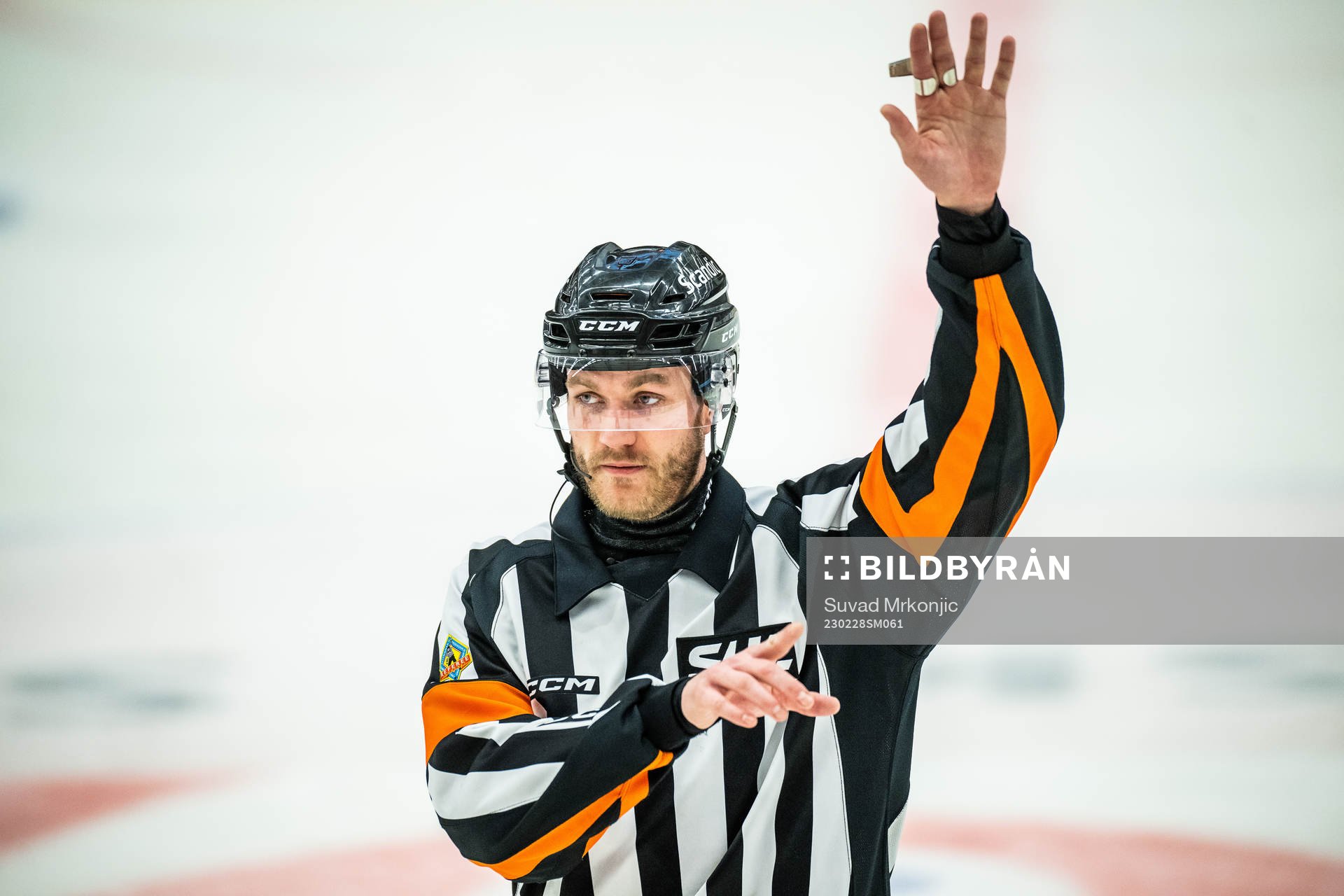 Domare Daniel Eriksson