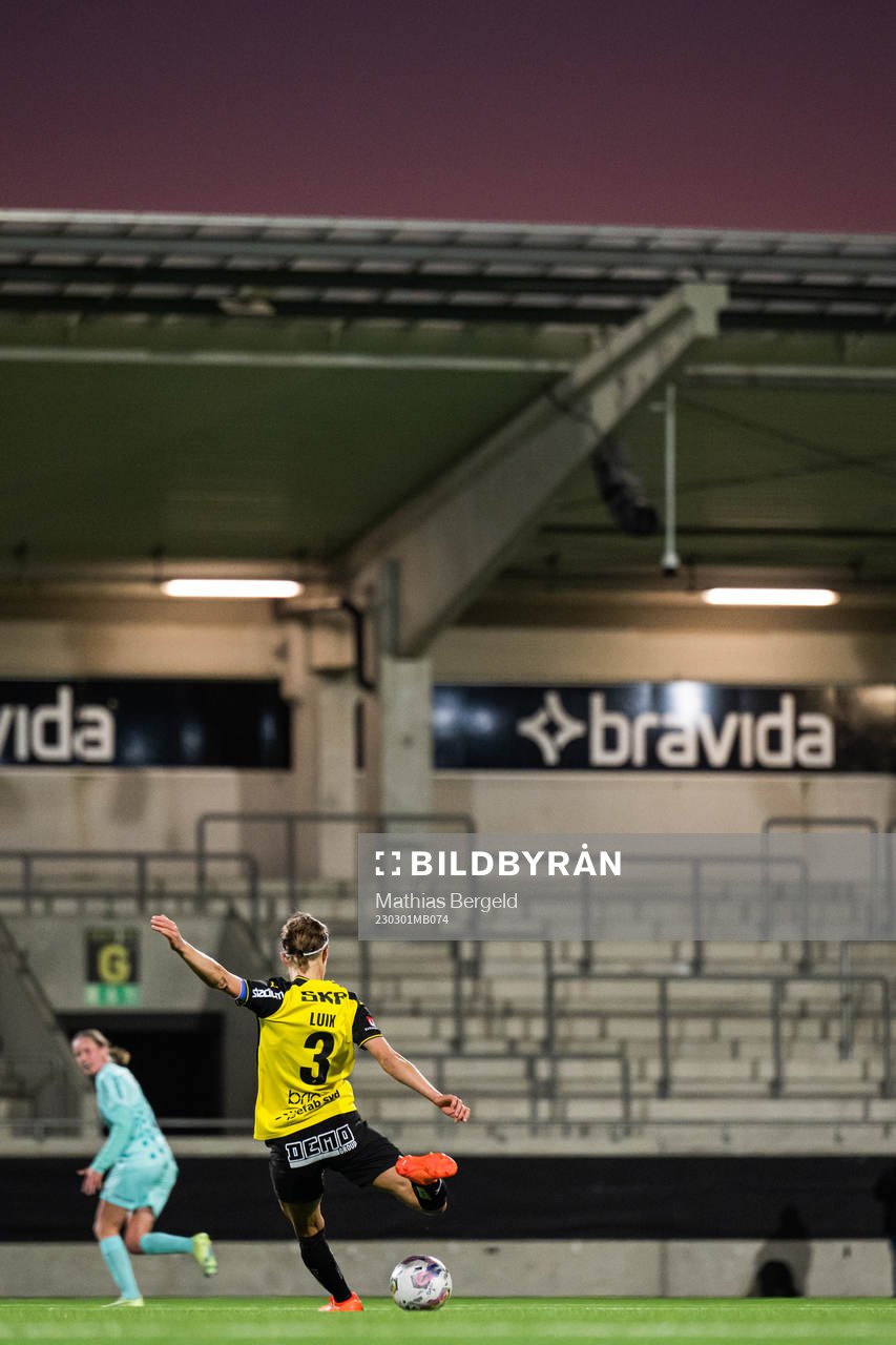 Häckens Aivi Luik