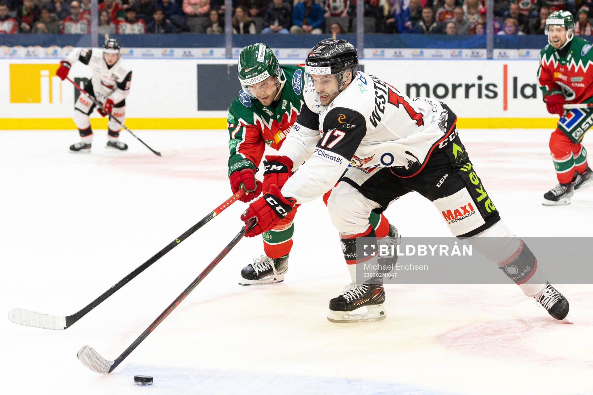 Frölundas Jacob Nilsson och Malmö Redhawks Pathrik