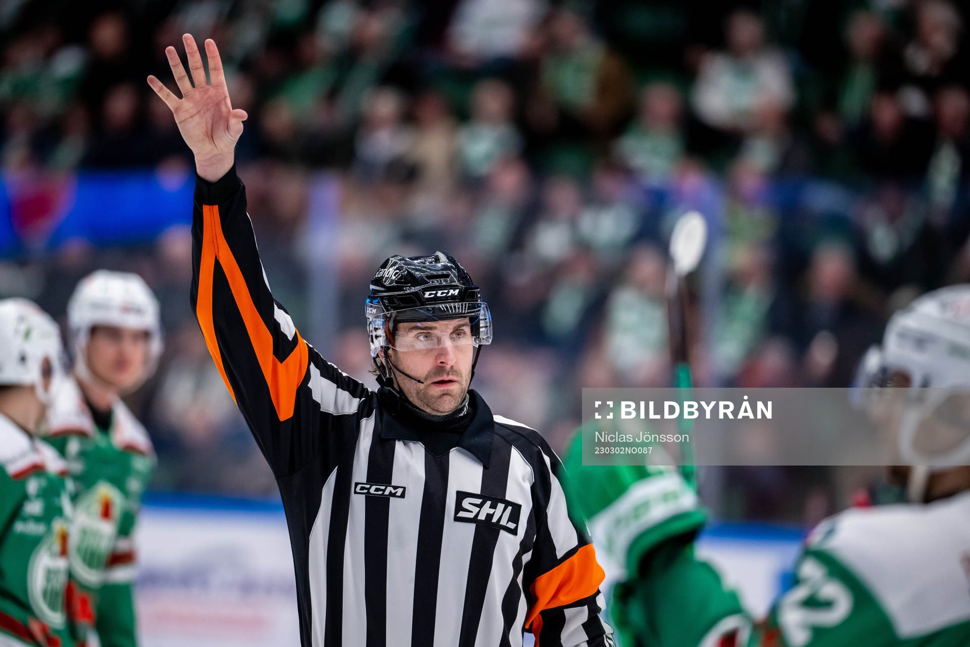 Domare Mikael Sjöqvist