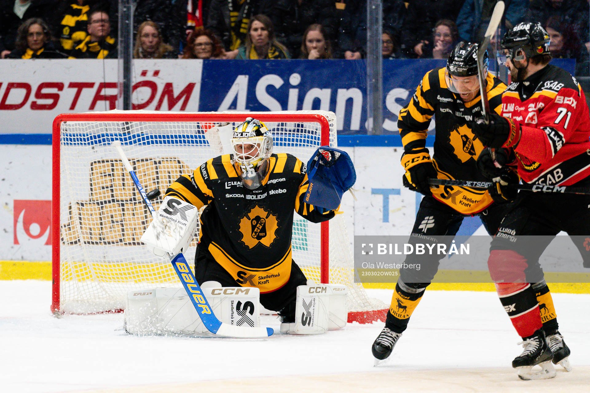 Skellefteås målvakt Frans Tuohimaa