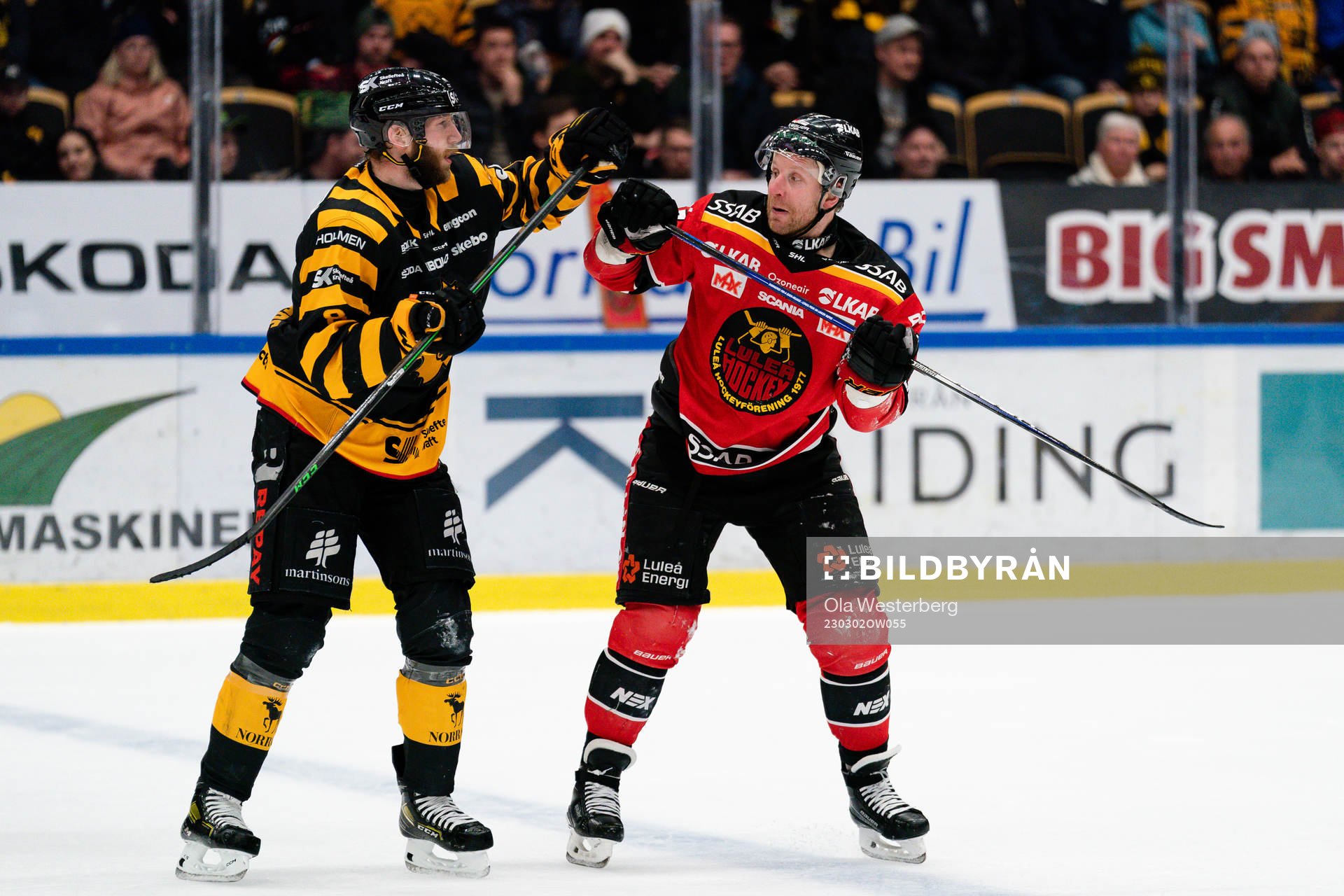 Skellefteås Petter Granberg och Luleås Leo Komarov
