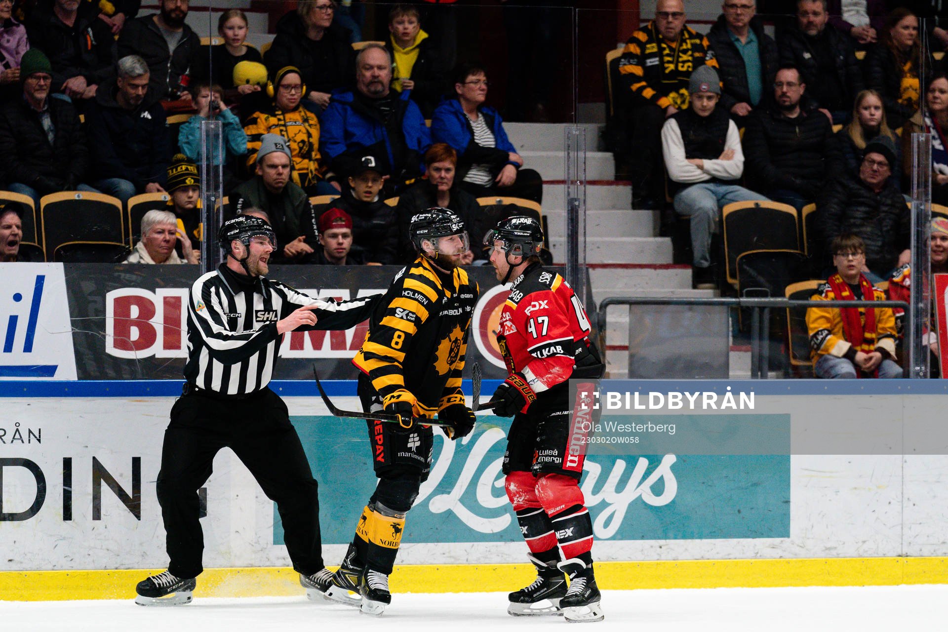 Skellefteås Petter Granberg och Luleås Leo Komarov