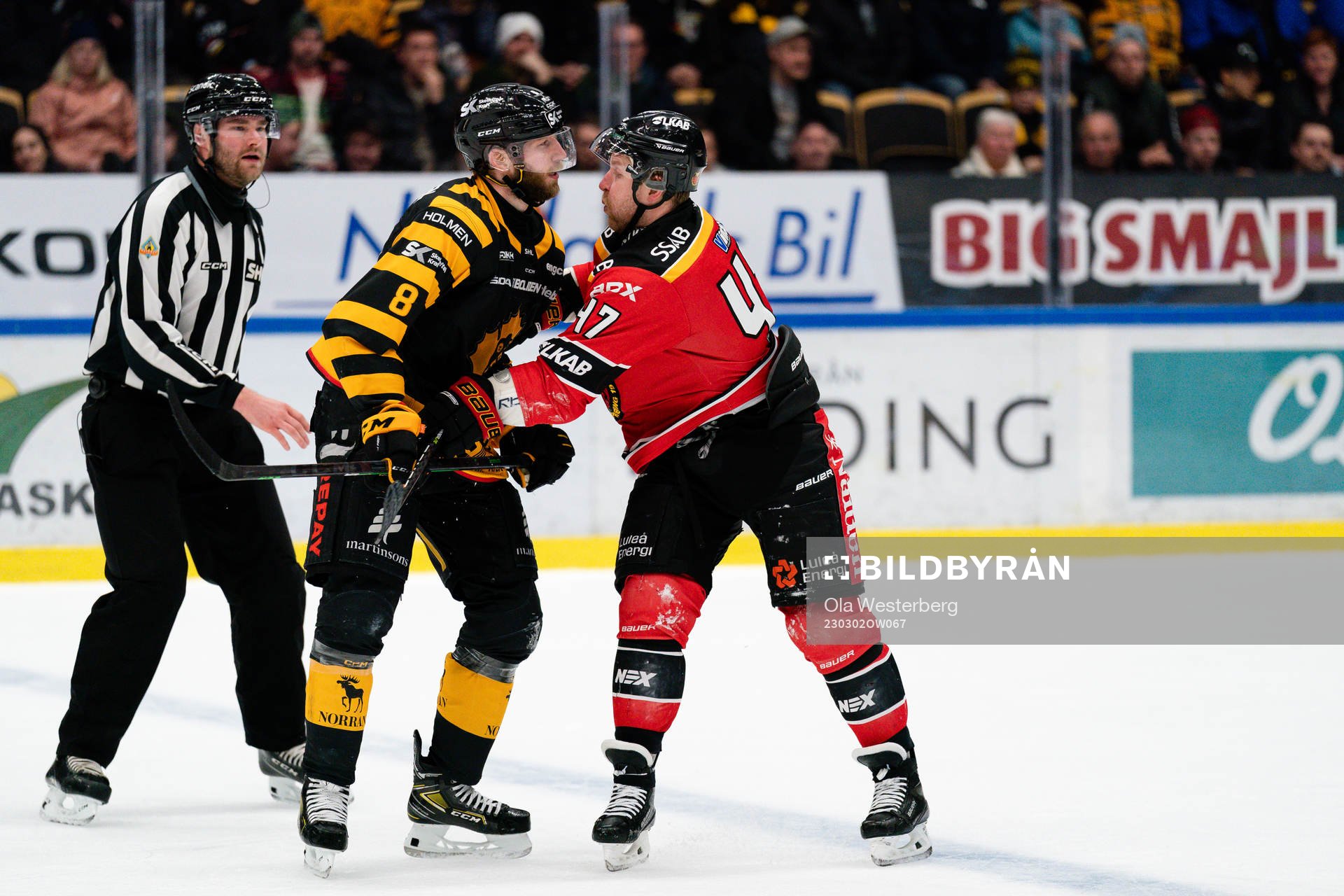 Skellefteås Petter Granberg och Luleås Leo Komarov