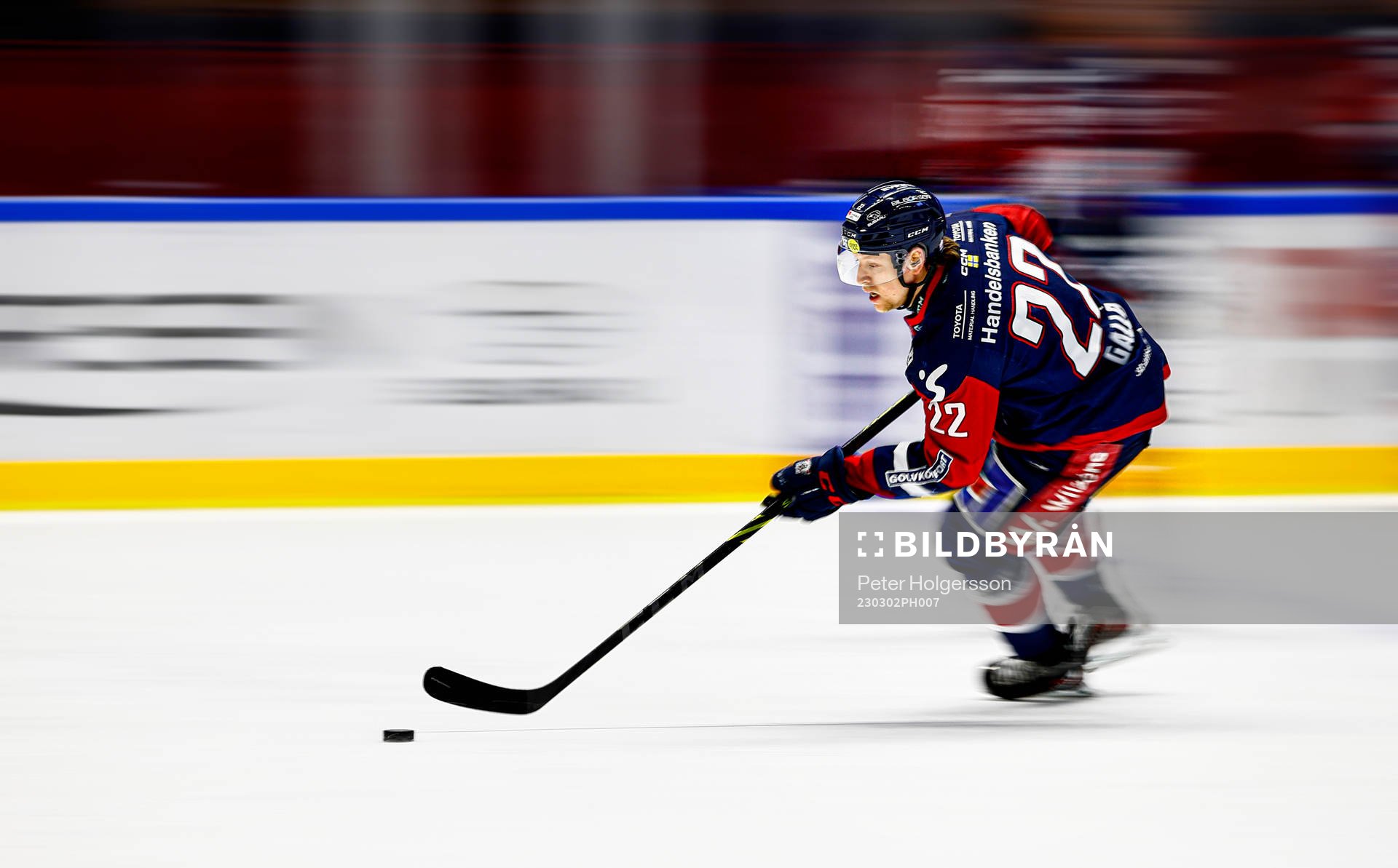 Linköpings Vilmos Gallo