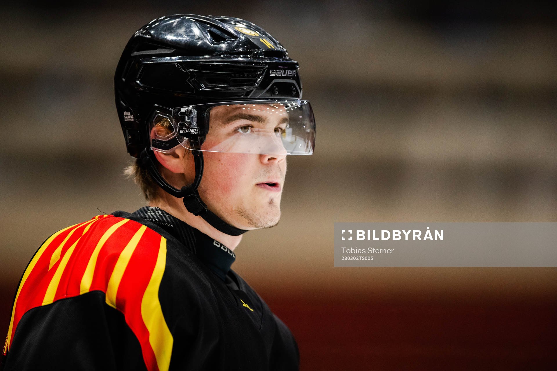 Brynäs Alexander Ljungkrantz