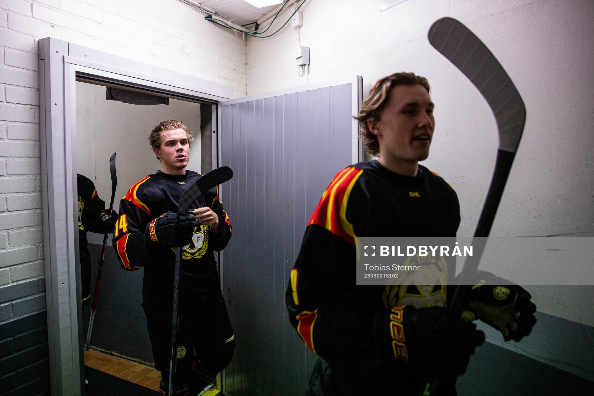 Brynäs Alexander Ljungkrantz