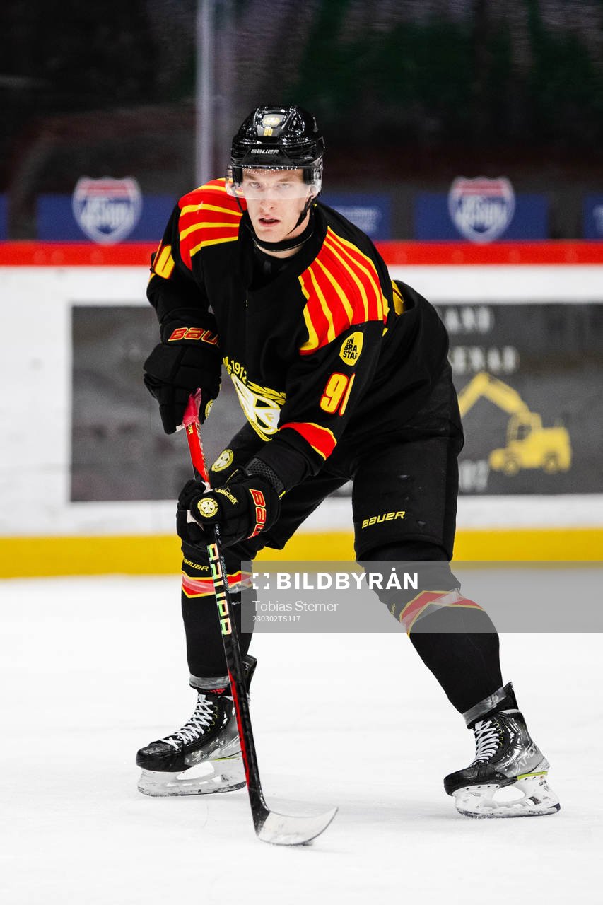 Brynäs David Sklenicka